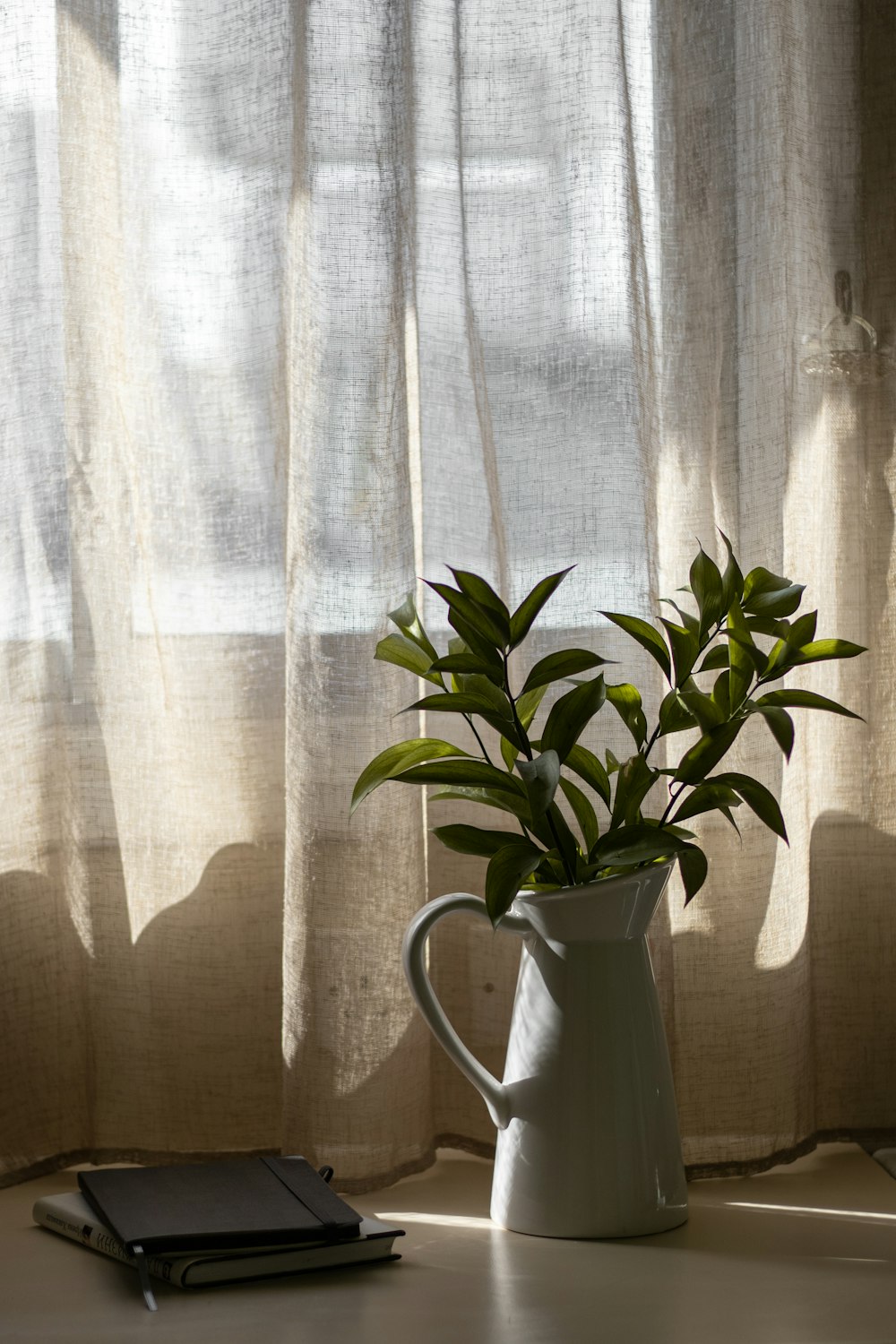 eine Topfpflanze, die auf einem Tisch neben einem Fenster sitzt