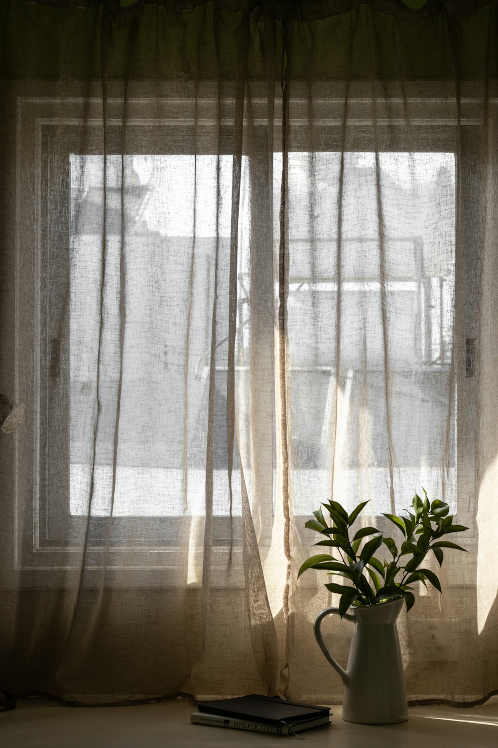 a potted plant sitting in front of a window