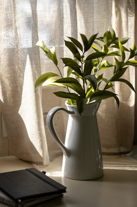 a plant in a white vase next to a book