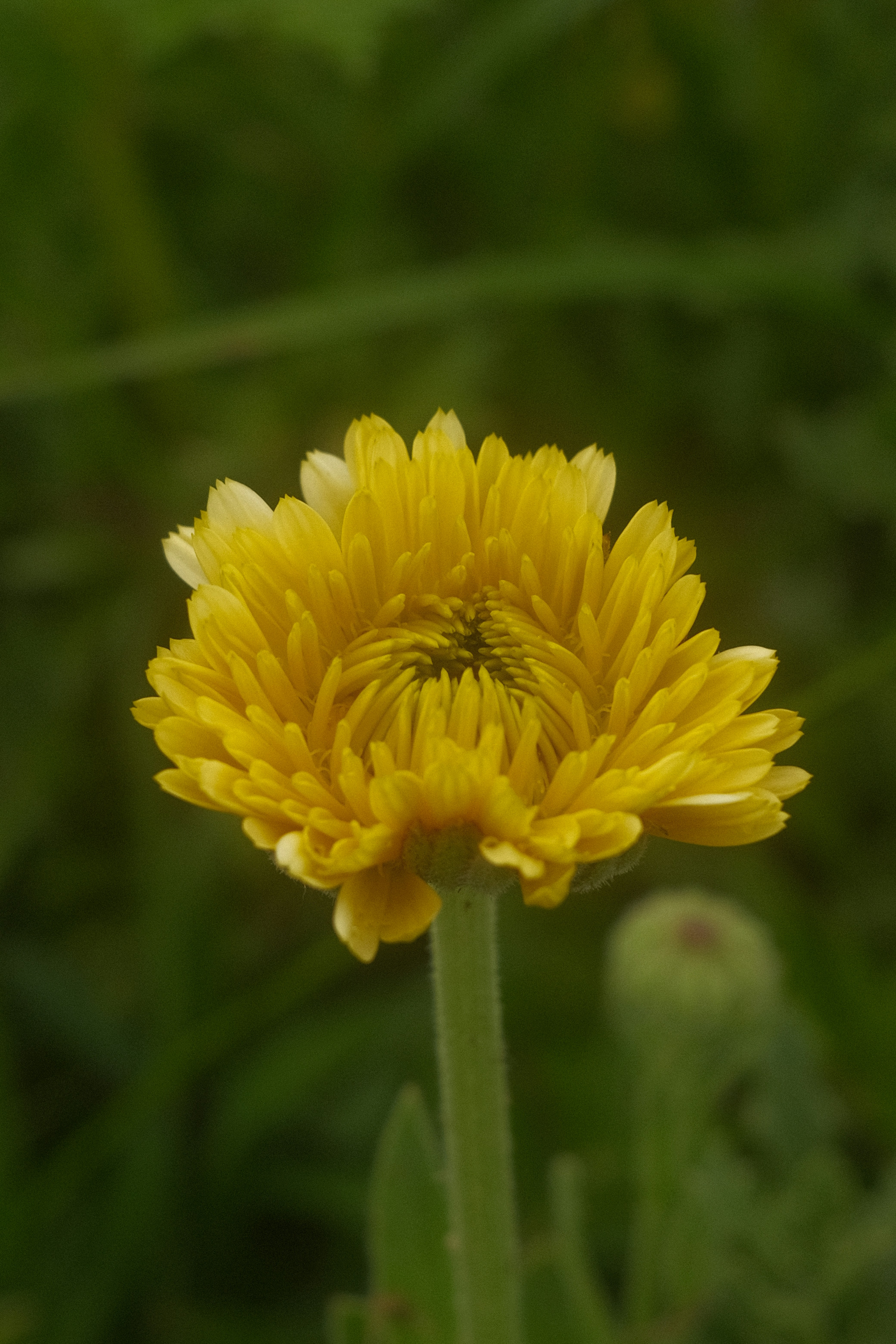 Photo by taylorheeryphoto