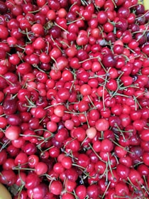 A large quantity of bright red cherries with green stems, closely packed together. The cherries are fresh and glossy, indicating ripeness and quality.