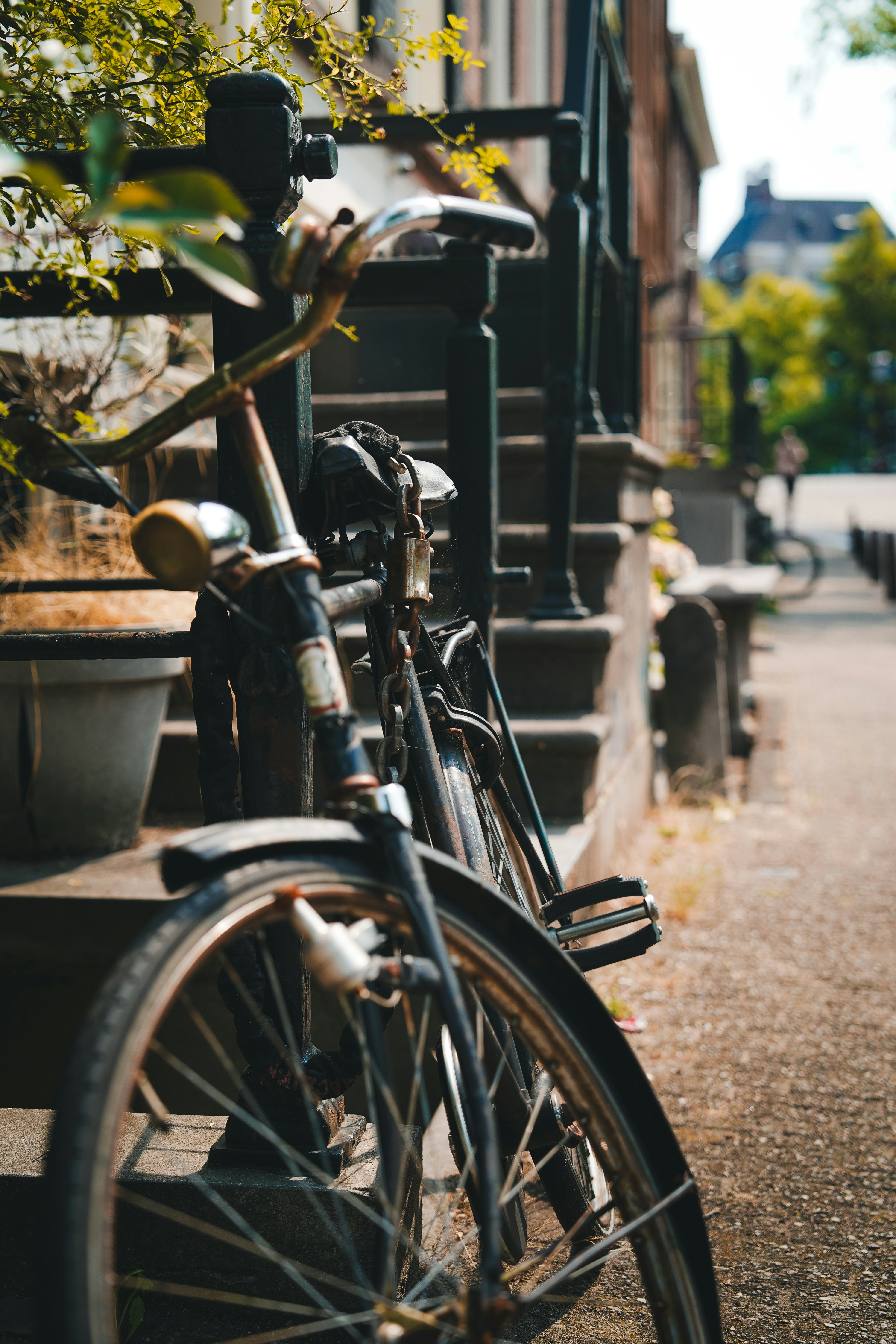 Photo by kevin_charit