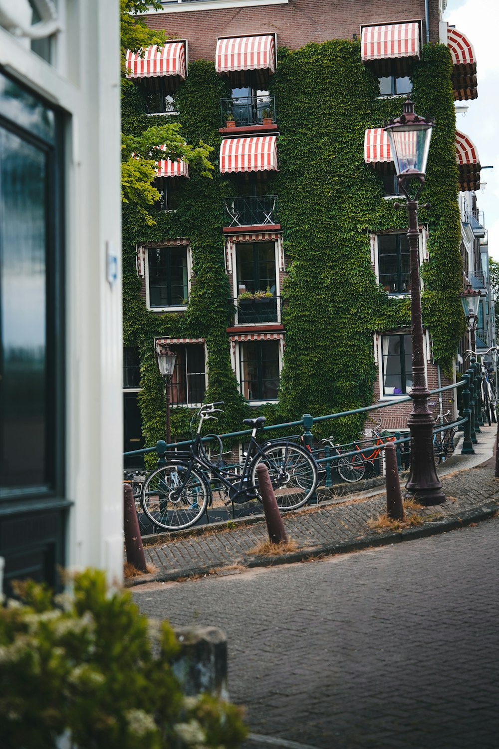 a building covered in vines with bicycles parked in front of it