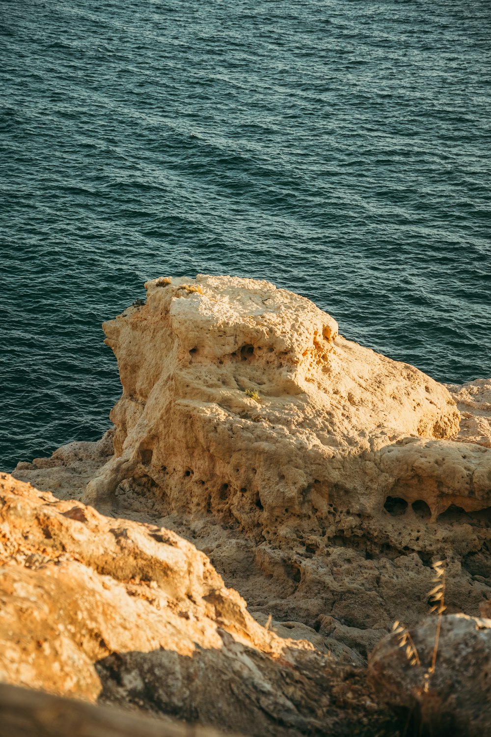 a bird is sitting on a rock near the water