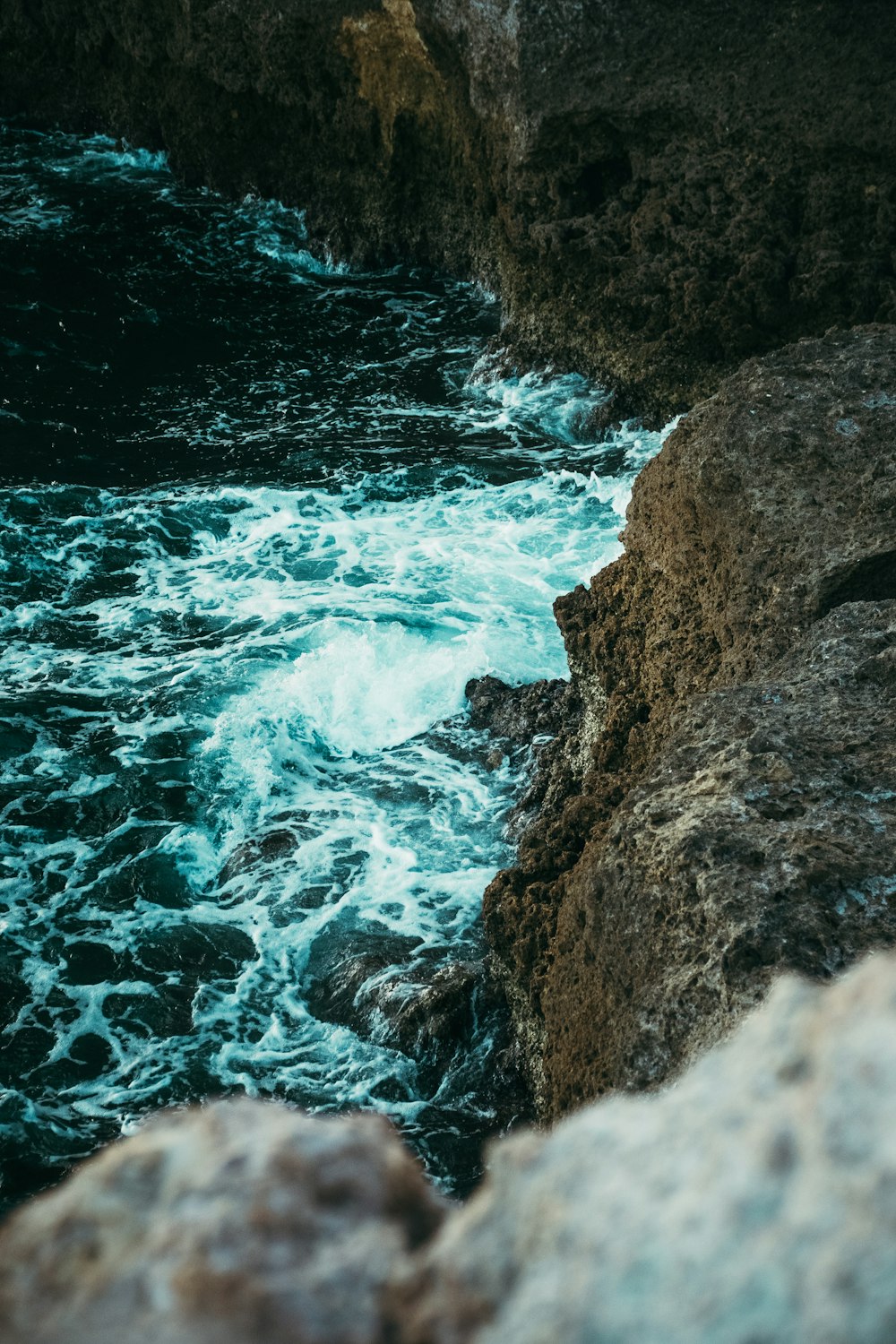 a bird sitting on a rock near the ocean