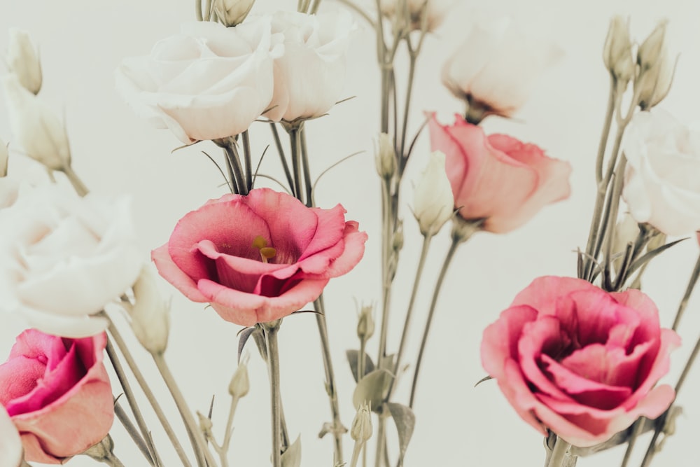 a bunch of pink and white flowers in a vase