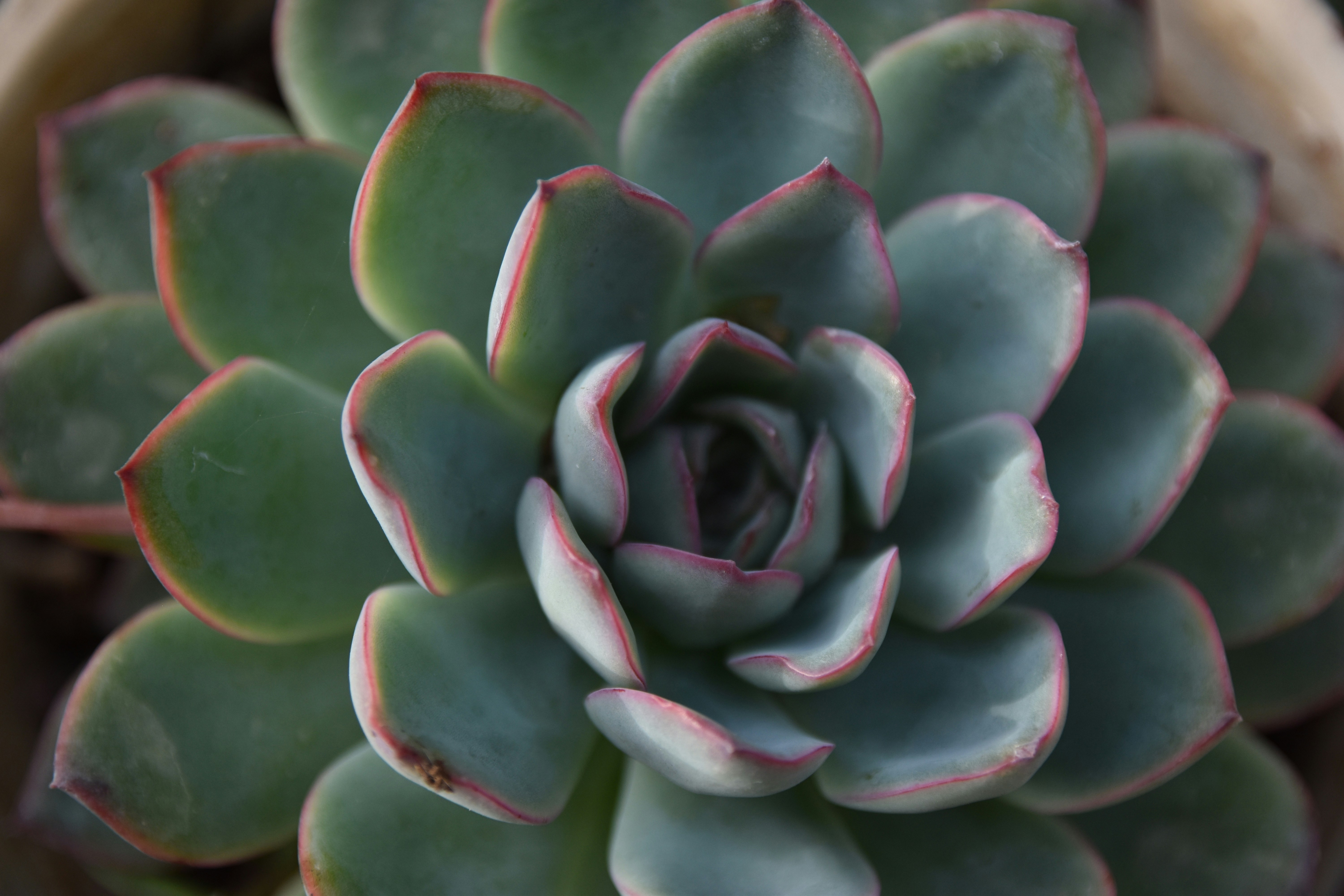 Photo by veronica_chalyj