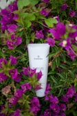 A white tube of Plantadea body cream is surrounded by vibrant purple and green foliage. The cream tube stands out against the lush background of blooming flowers and leaves.