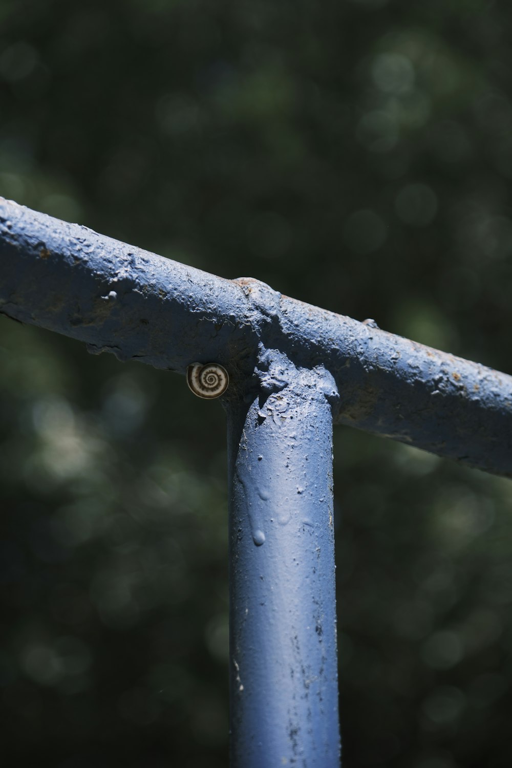 a close up of a metal rail with trees in the background