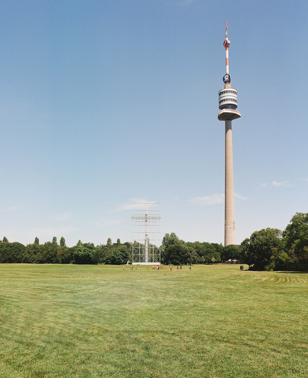 a large grassy field with a tall tower in the background