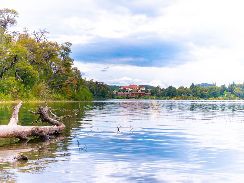 a lake with a log in the middle of it