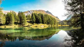 Crystal-clear waters of a mountain lake reflecting surrounding pine trees.