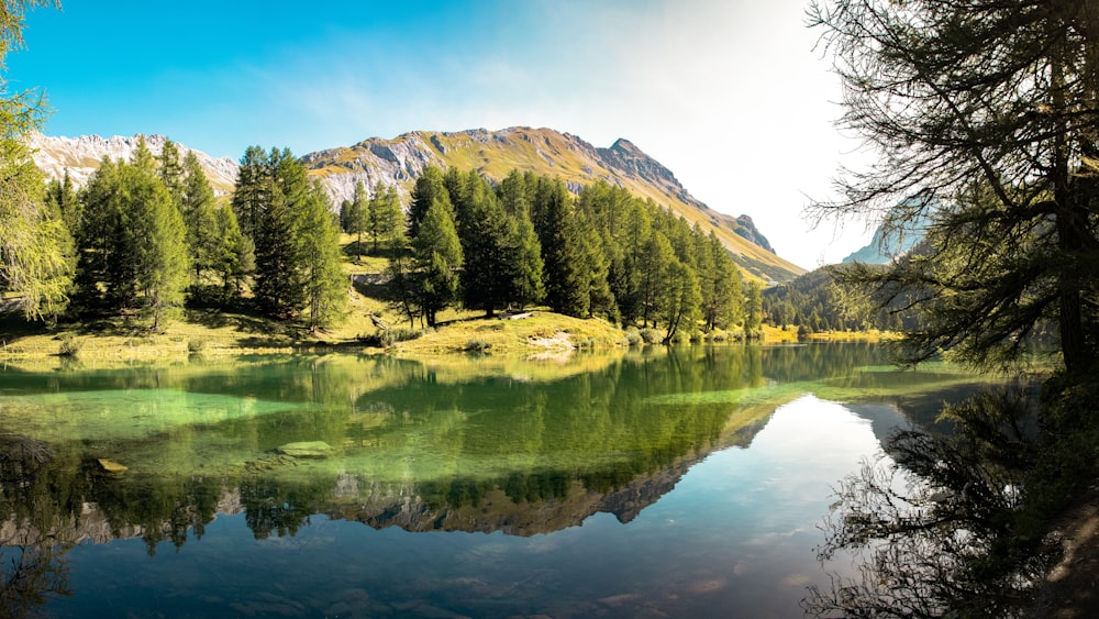 a lake surrounded by trees and mountains