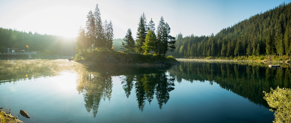 a body of water surrounded by a forest