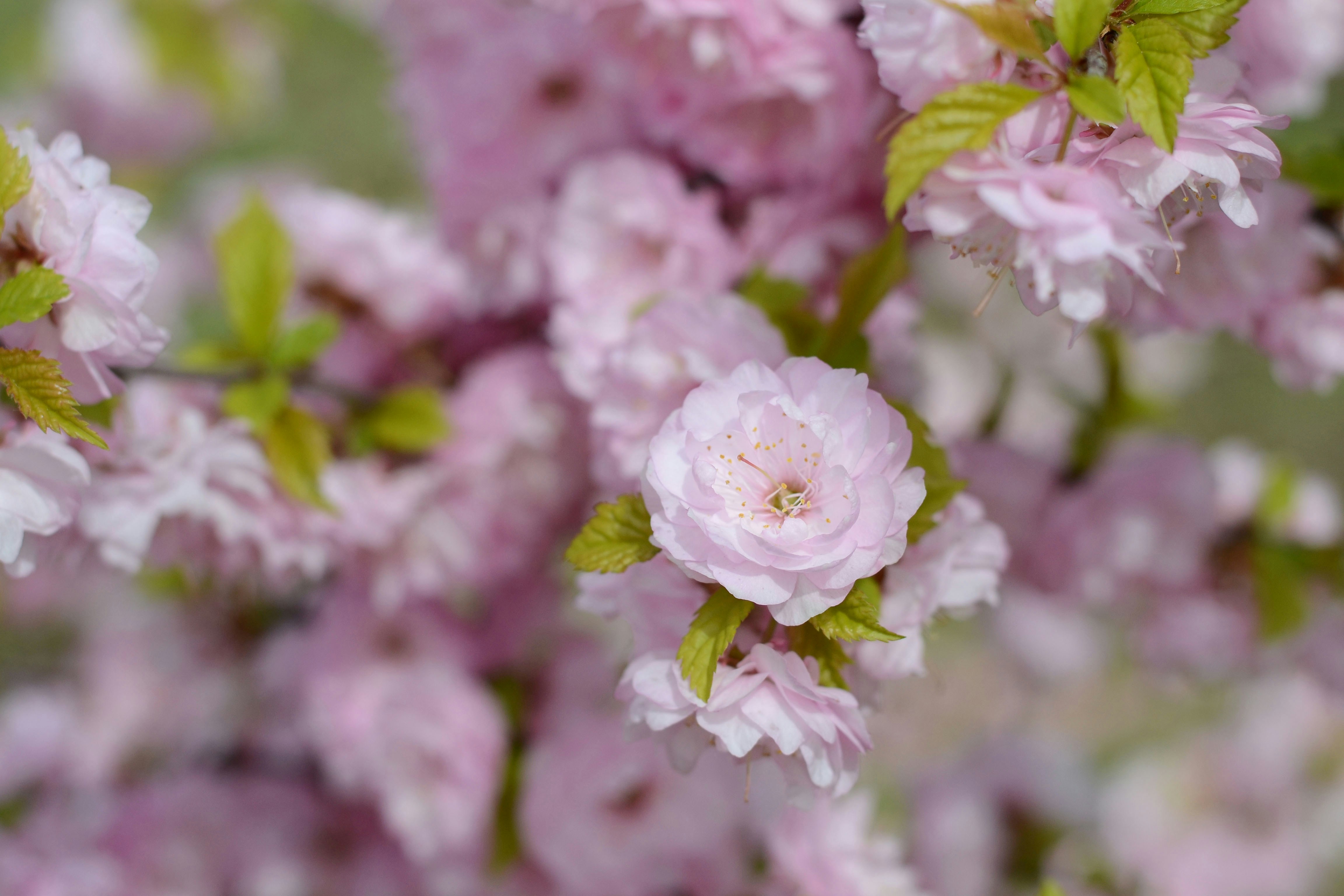 Photo by lipetskaya_zemlya