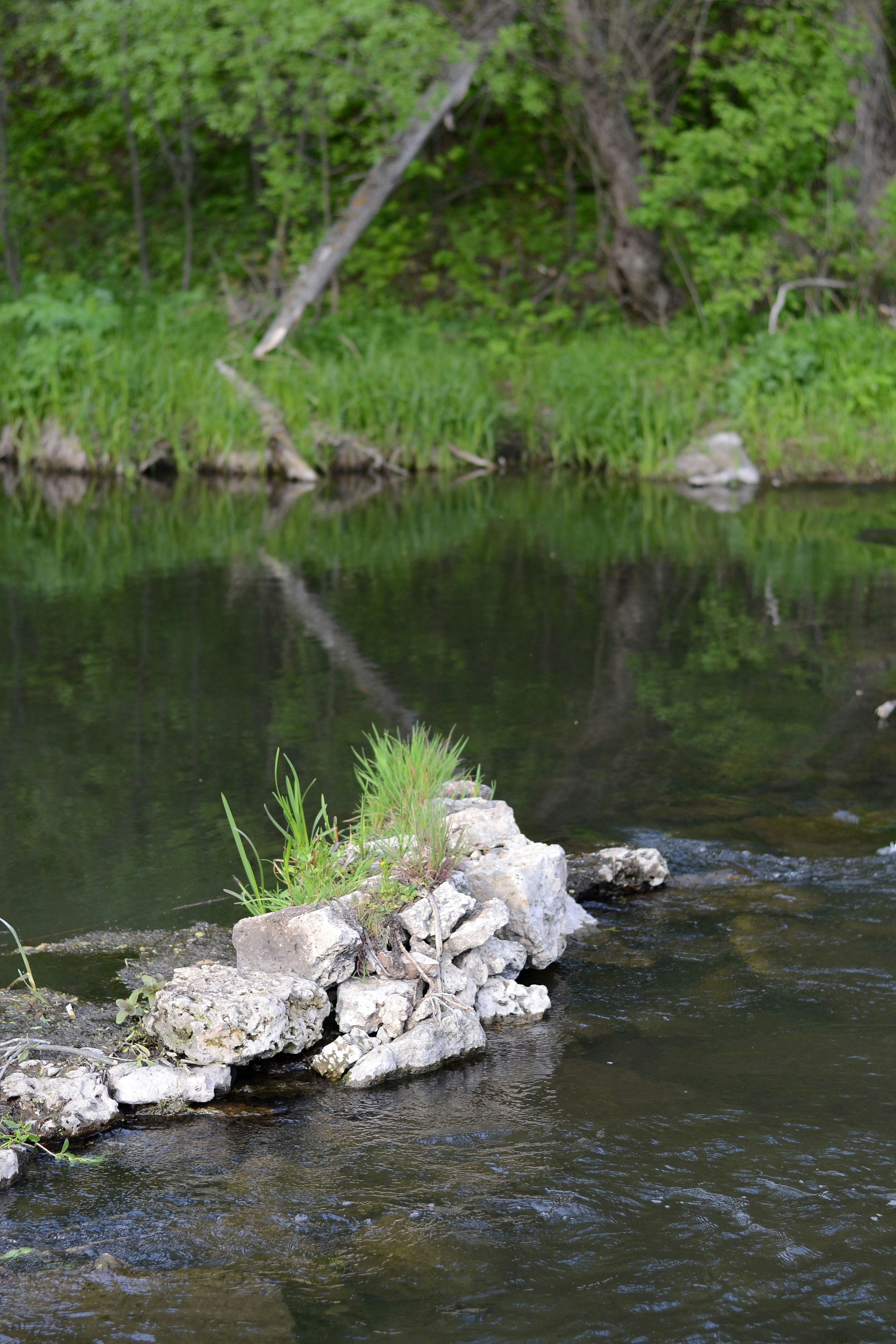 Photo by lipetskaya_zemlya