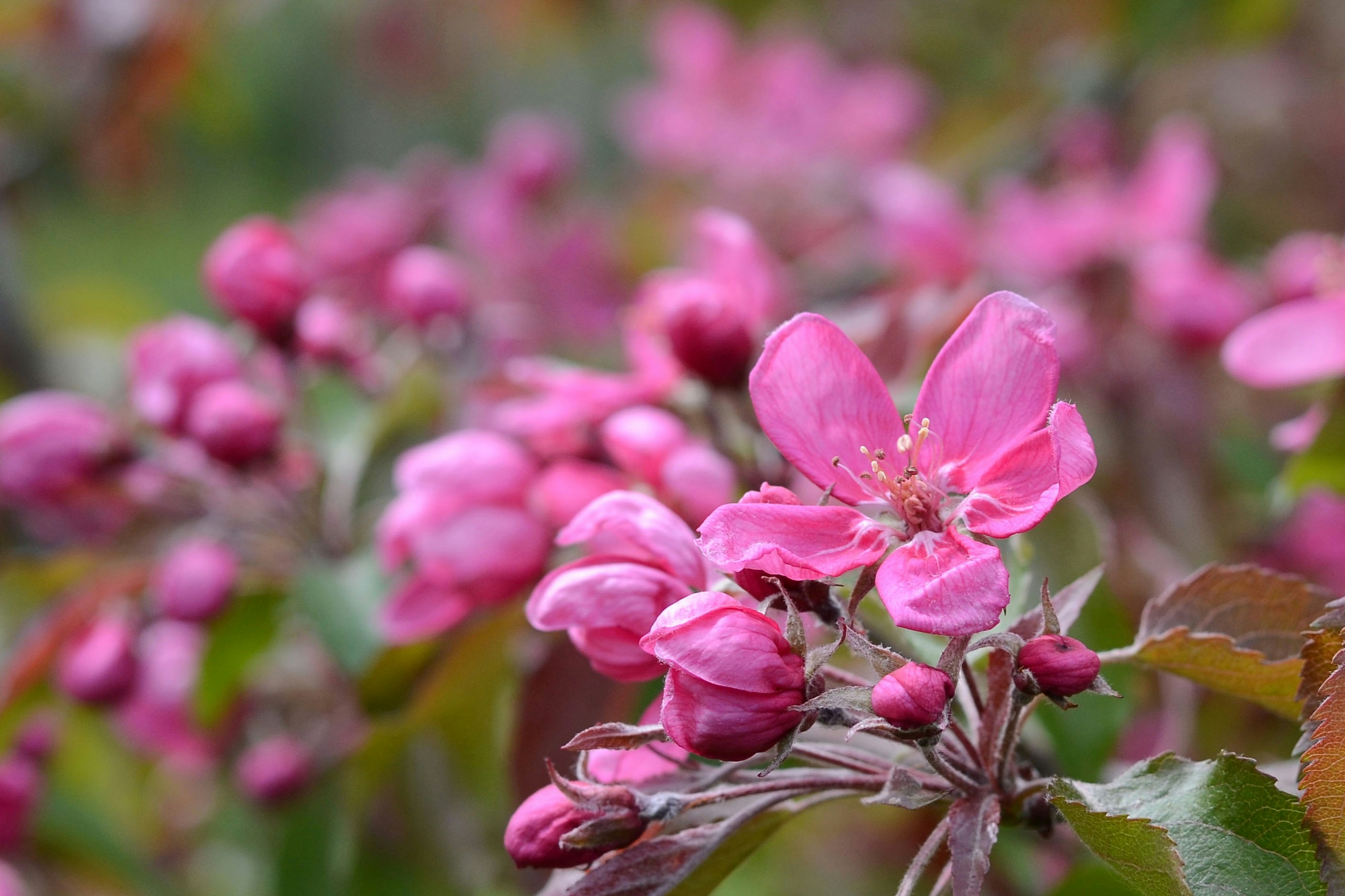 Photo by lipetskaya_zemlya