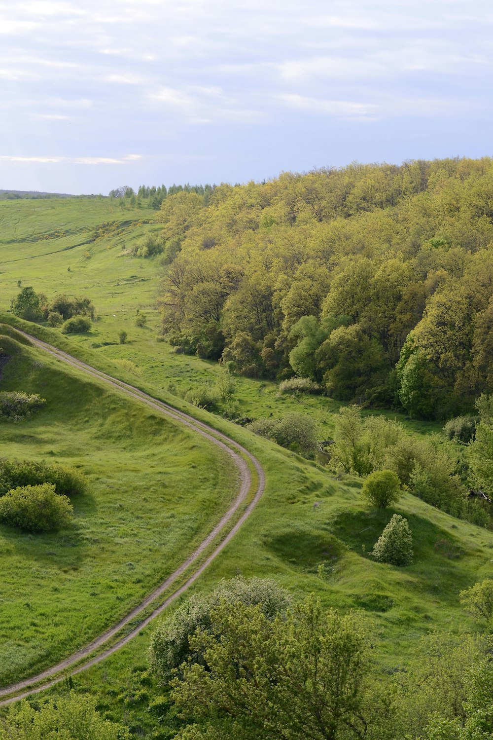 a winding road in the middle of a lush green field