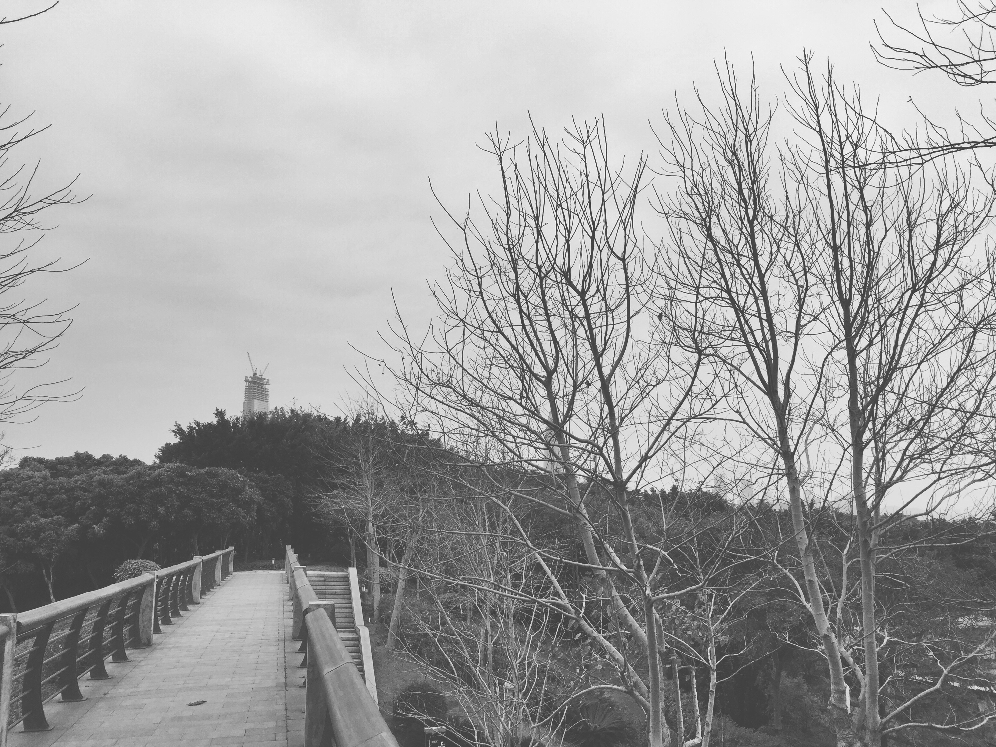 Photo by kaikaishenshen