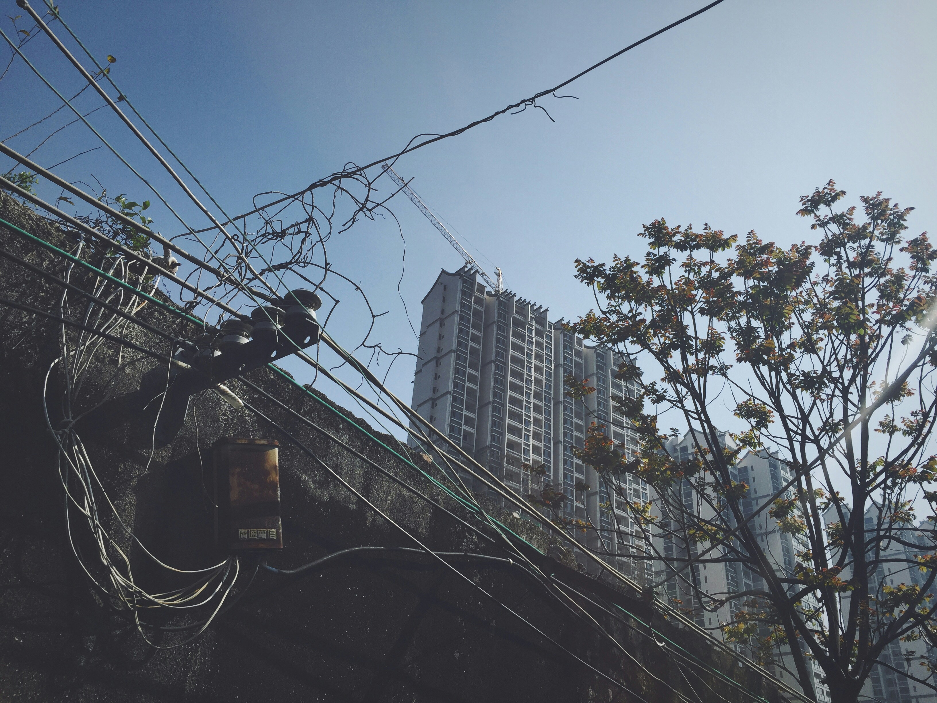 Photo by kaikaishenshen