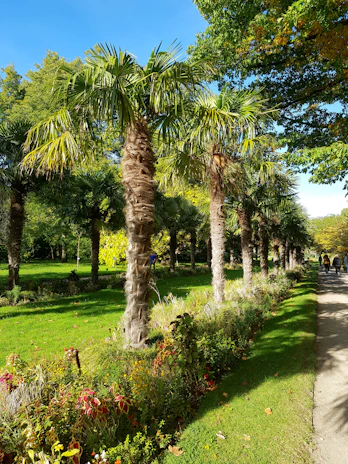 Visitors exploring the lush date palm trees at Kurma Park during an educational tour