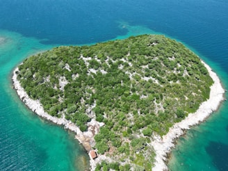 An aerial view of a heart-shaped island covered with dense green vegetation, surrounded by clear turquoise waters. A small structure or building is visible near the shore, nestled between rocky coastlines.