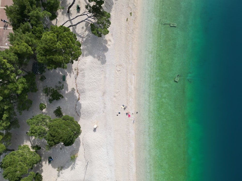 an aerial view of a beach with people on it