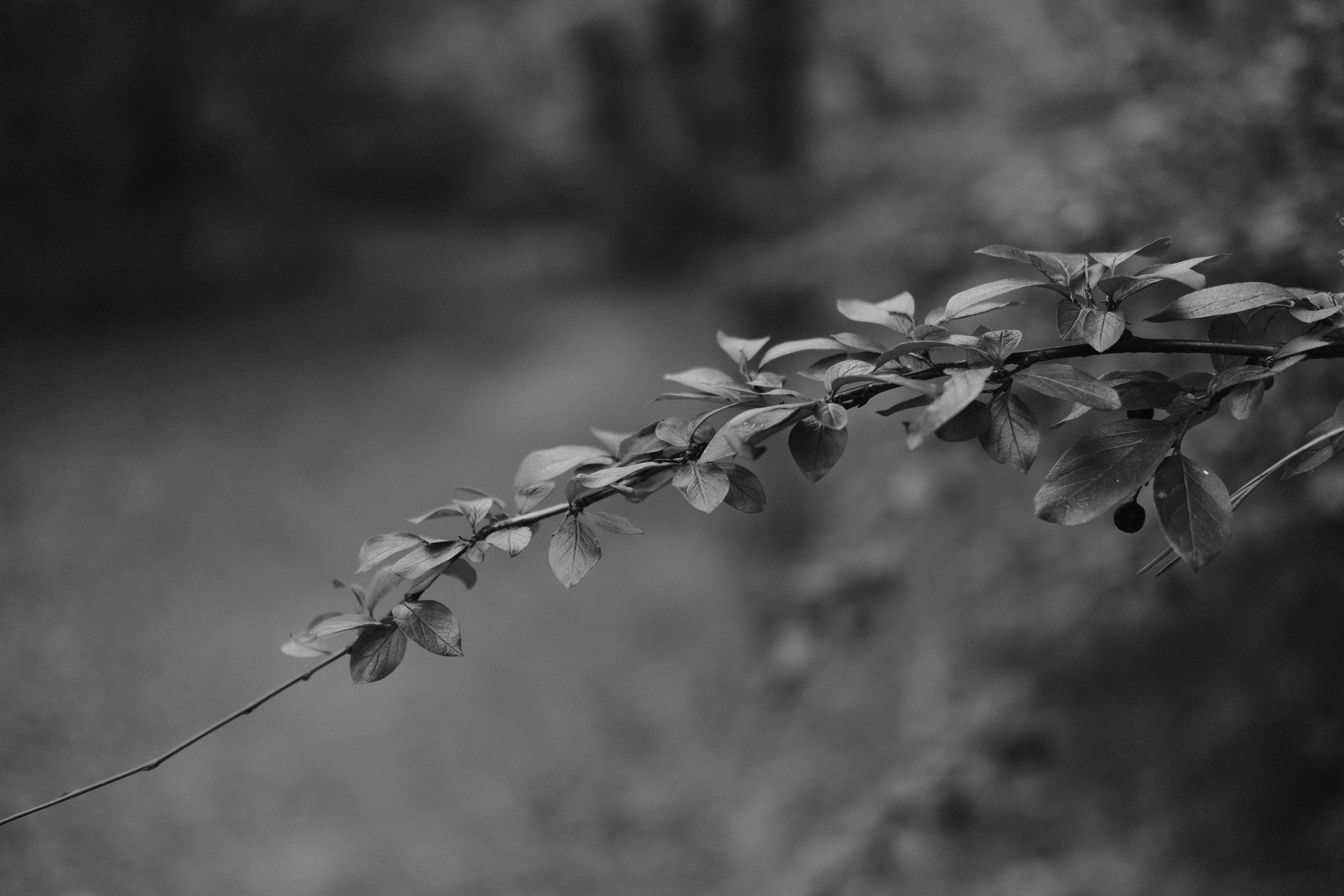 Photo by shamilkhasaev