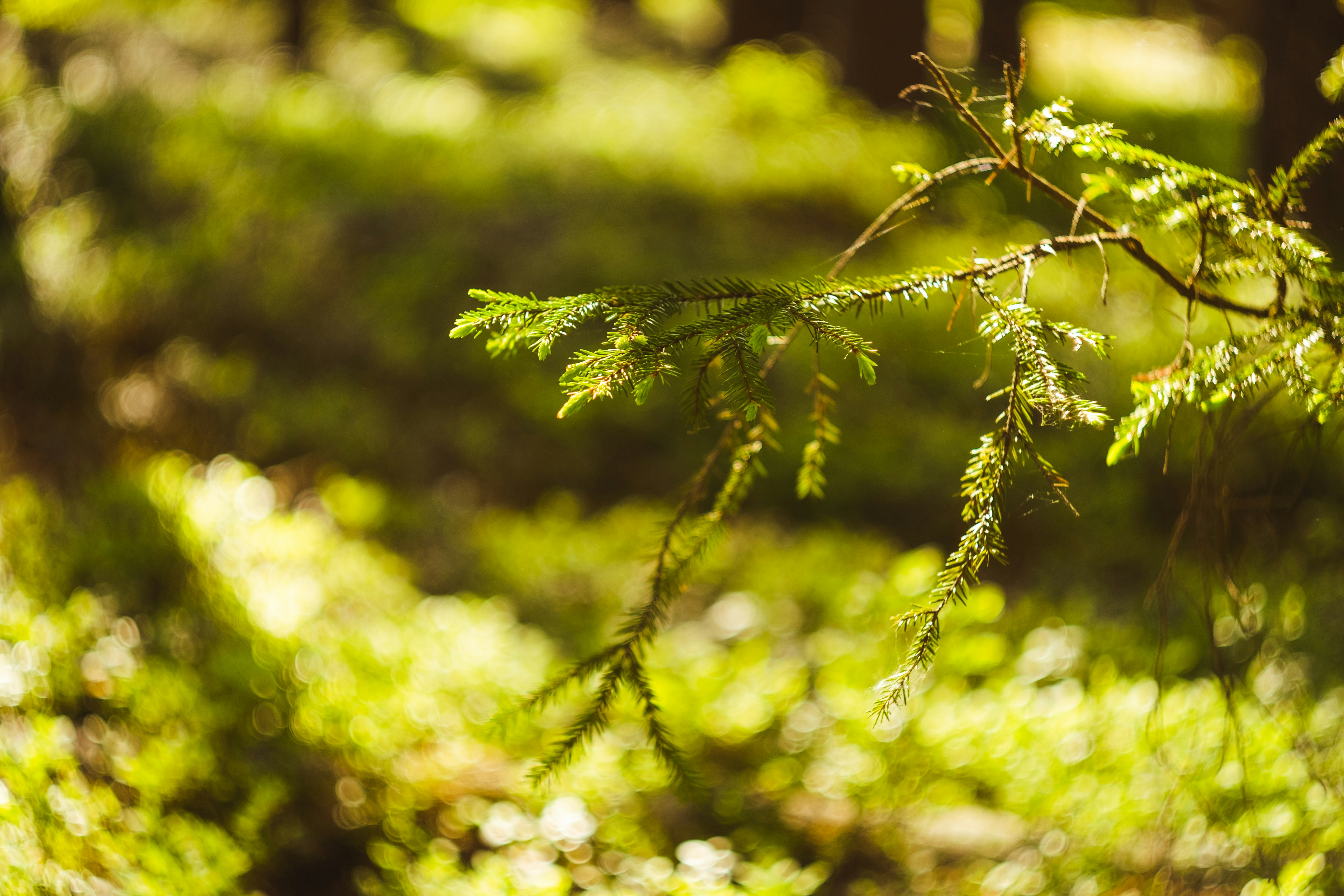 Photo by mirrors_are_more_fun