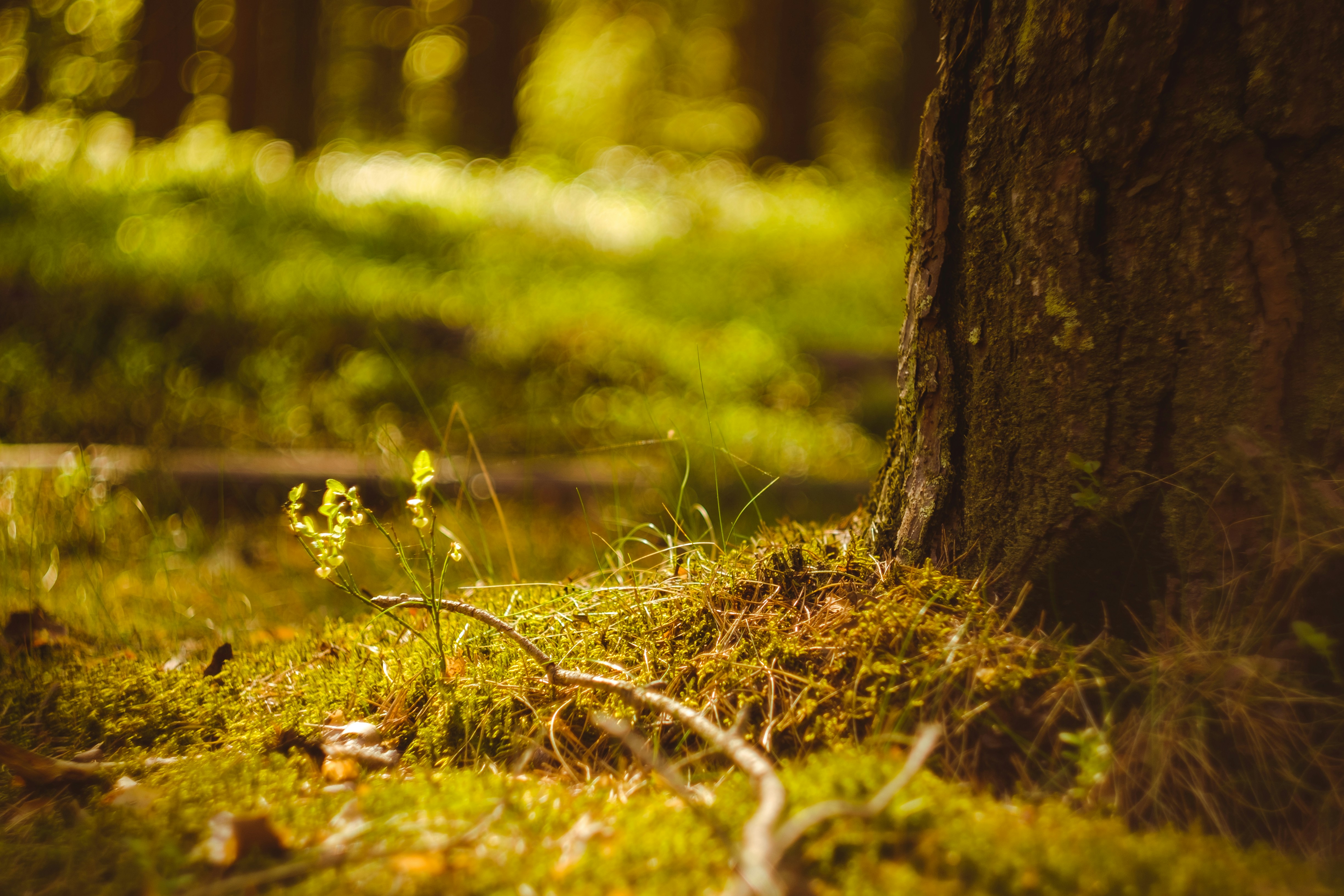 Photo by mirrors_are_more_fun