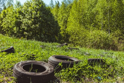 Several discarded tires are scattered across a grassy area in a lush, green forest. The background features dense foliage with various shades of green, creating a natural setting that contrasts with the dark rubber tires.