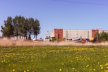 A large industrial building with a brick facade is situated in the background, accompanied by several large vehicles, including a cement mixer truck. In the foreground, a meadow with tall grass and numerous yellow flowers stretches out. Tall trees on the left side add greenery to the scene, and the sky above is clear and blue.