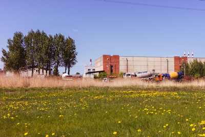 A large industrial building with a brick facade is situated in the background, accompanied by several large vehicles, including a cement mixer truck. In the foreground, a meadow with tall grass and numerous yellow flowers stretches out. Tall trees on the left side add greenery to the scene, and the sky above is clear and blue.