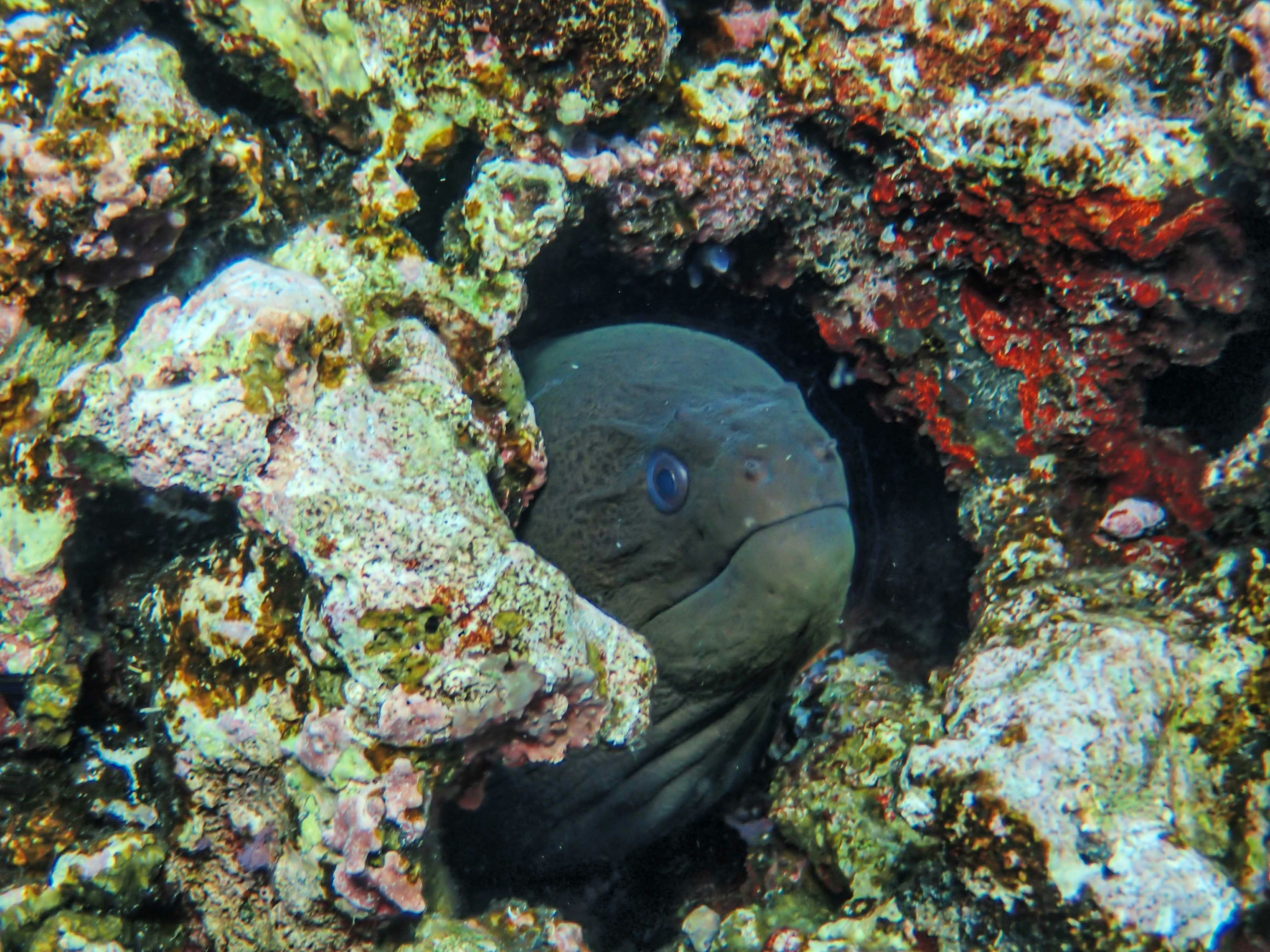 Photo by francesco_ungaro