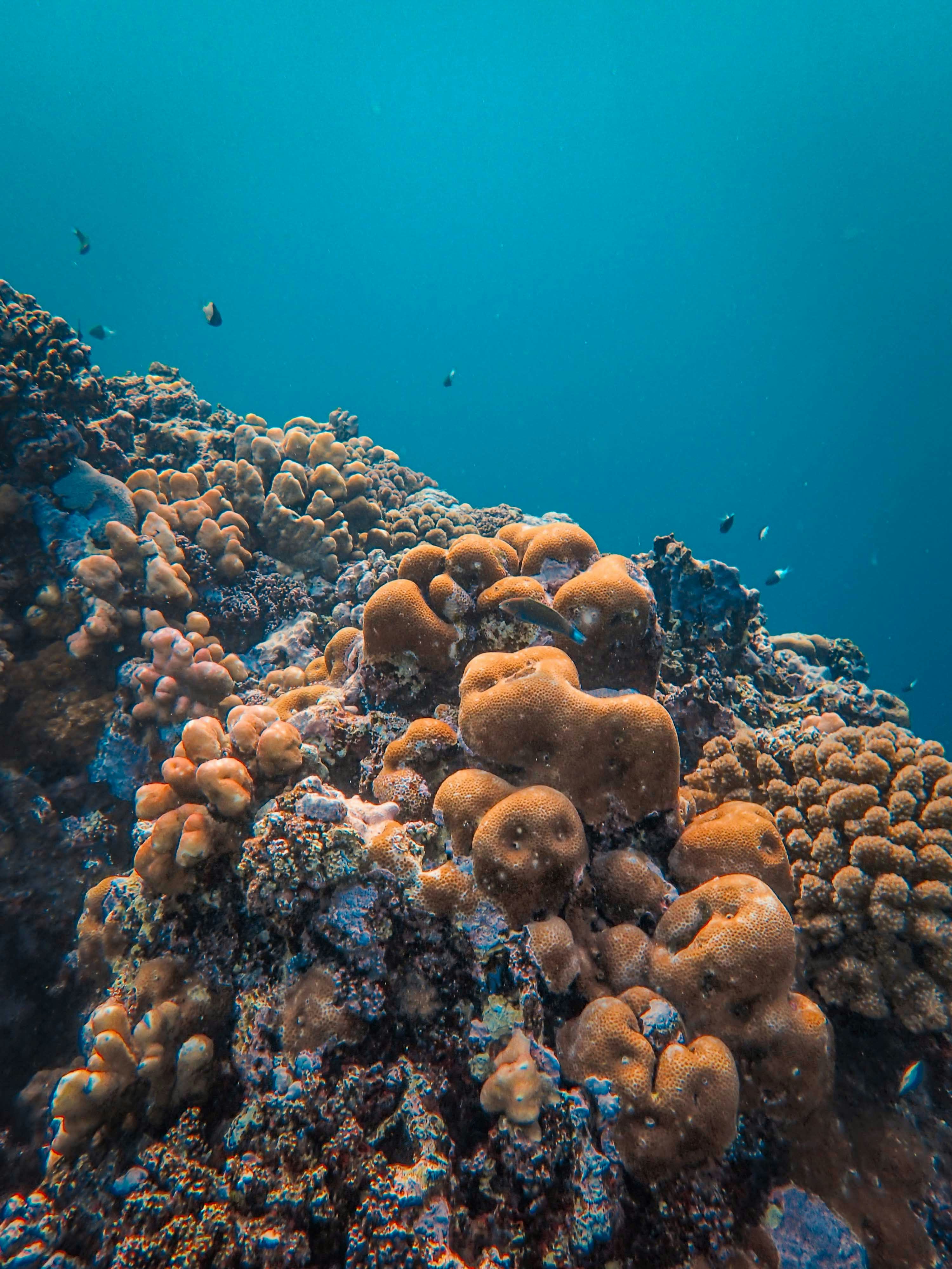 Photo by francesco_ungaro