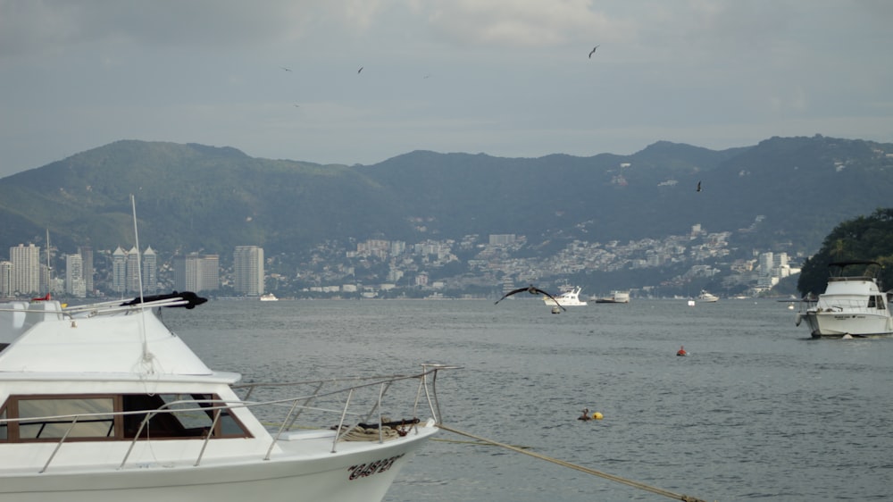 a white boat floating on top of a body of water