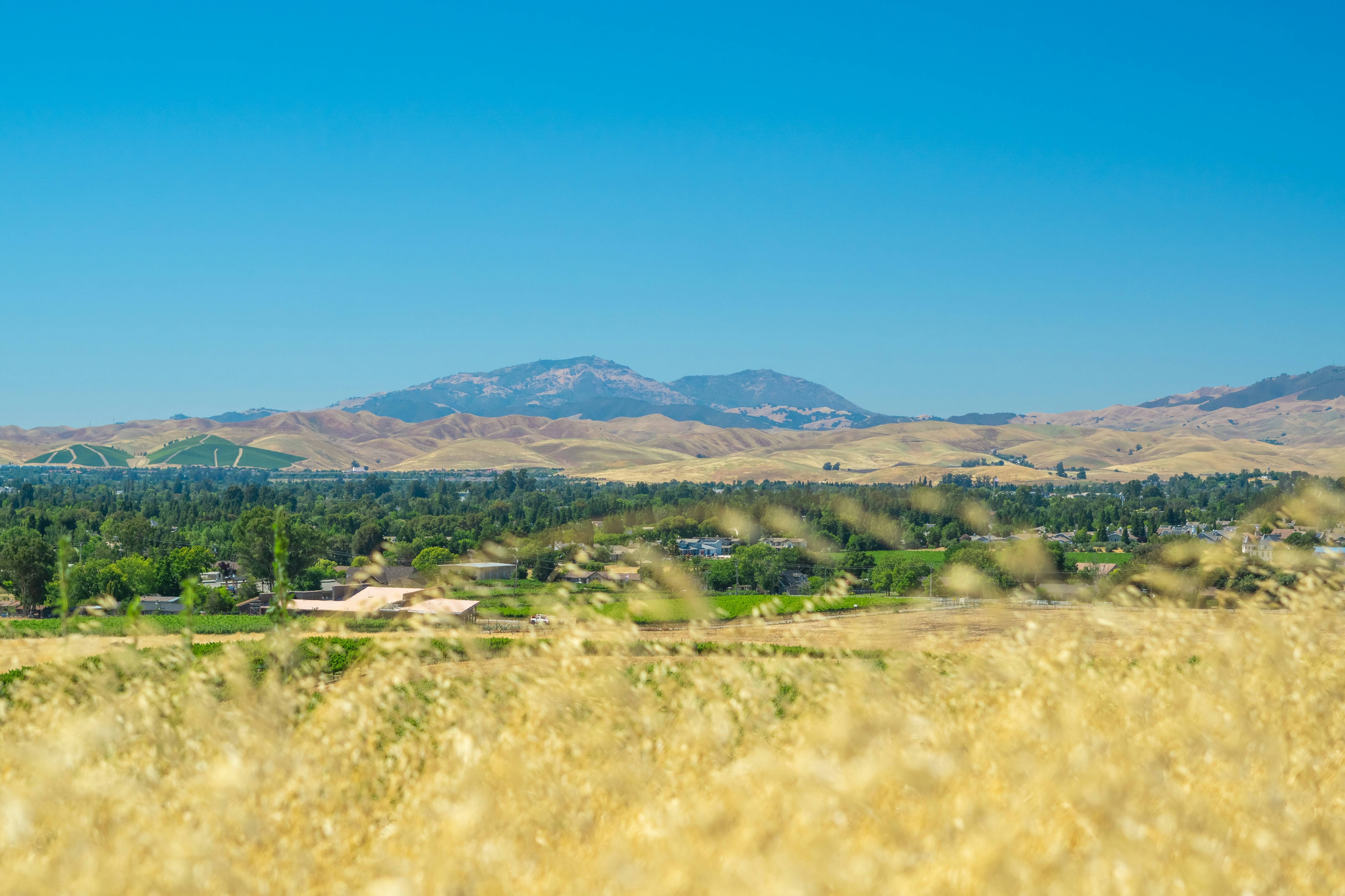 Photo by spencer_demera