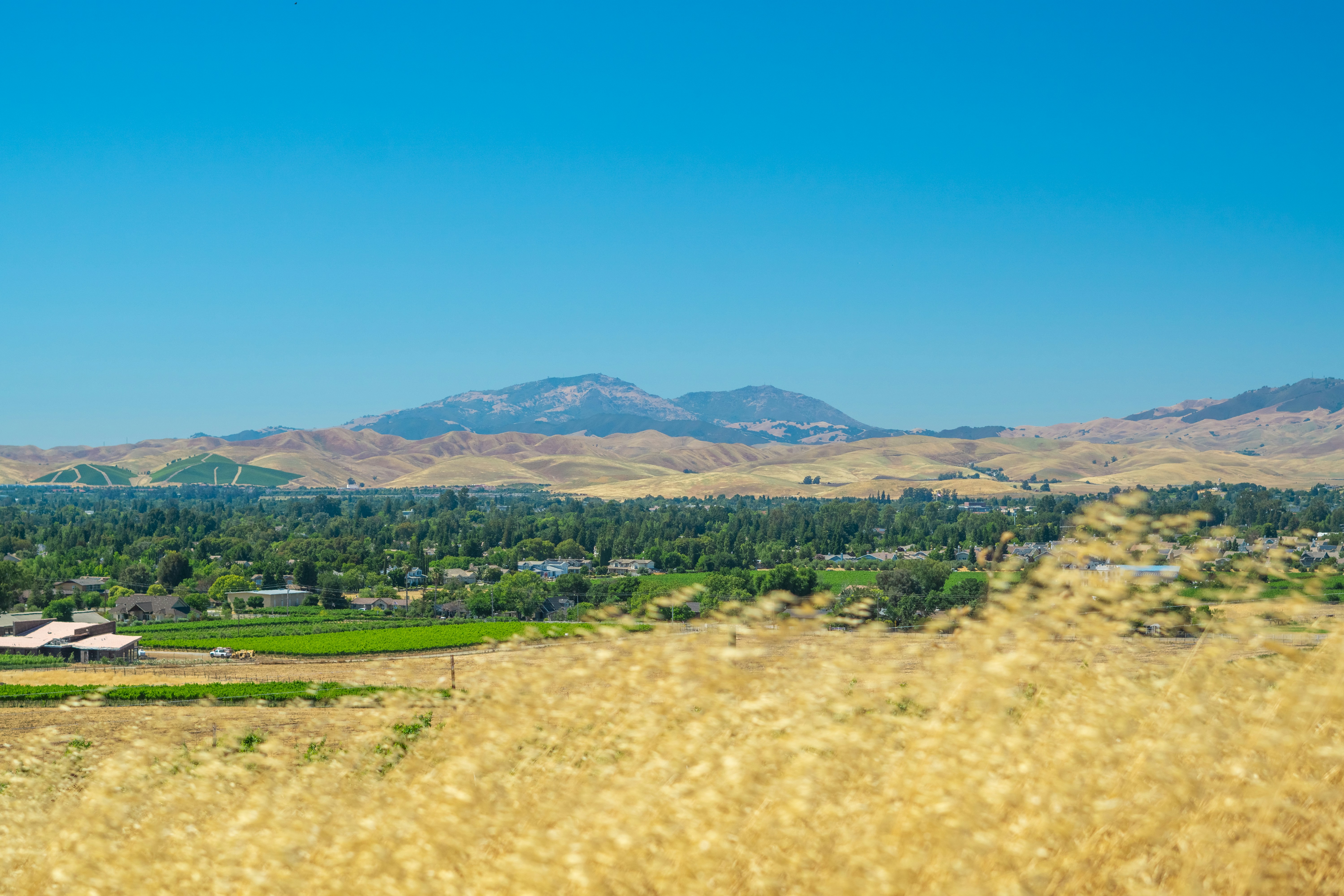 Photo by spencer_demera