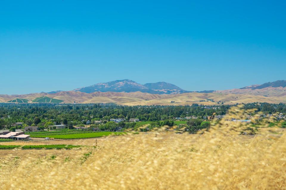 The image depicts a serene landscape with a vast, open field covered in tall grasses that sway gently in the breeze. In the distance, majestic mountains rise against the horizon, their peaks touching the clear blue sky. The perspective is from above, providing a bird's eye view of this picturesque scene.