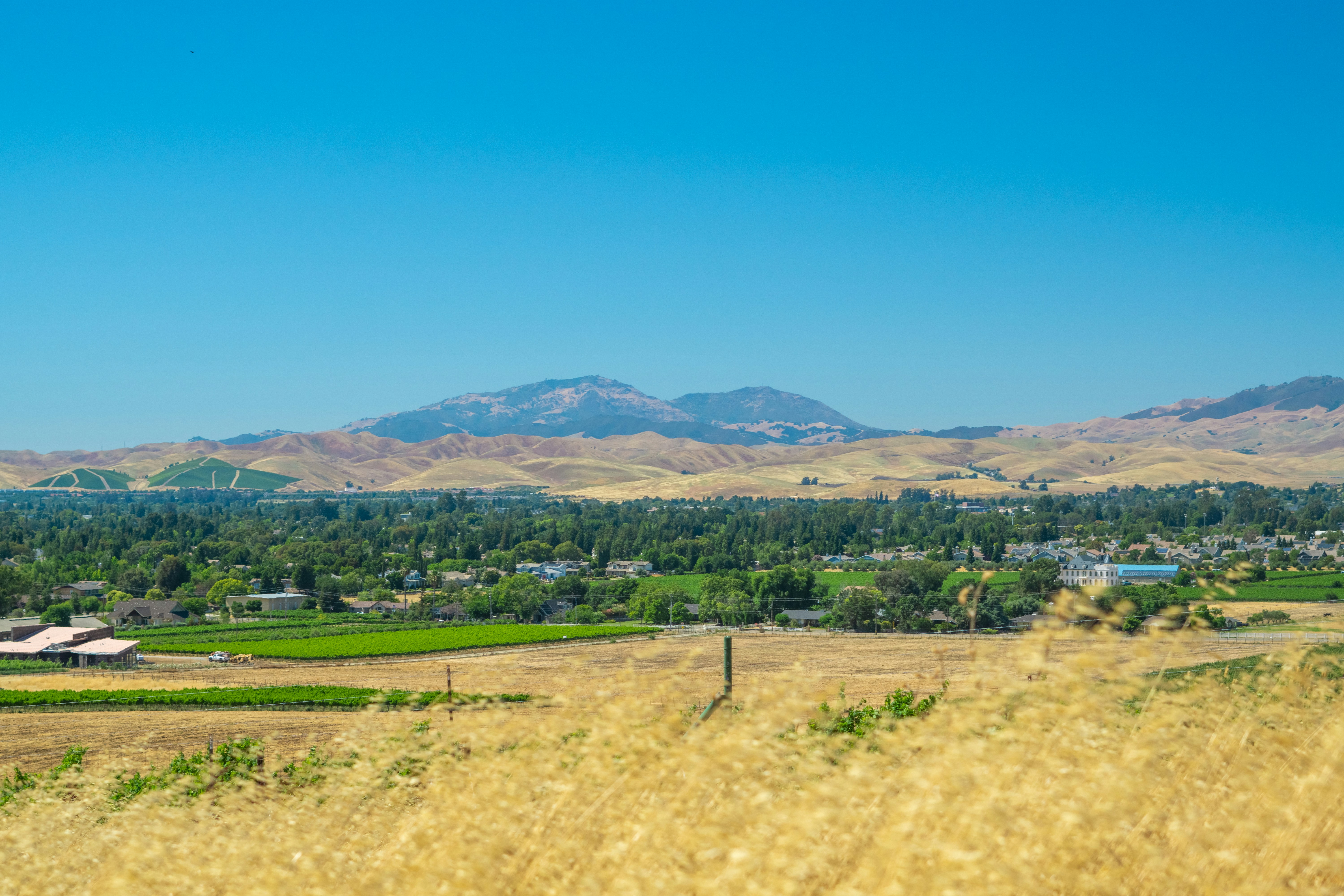 Photo by spencer_demera