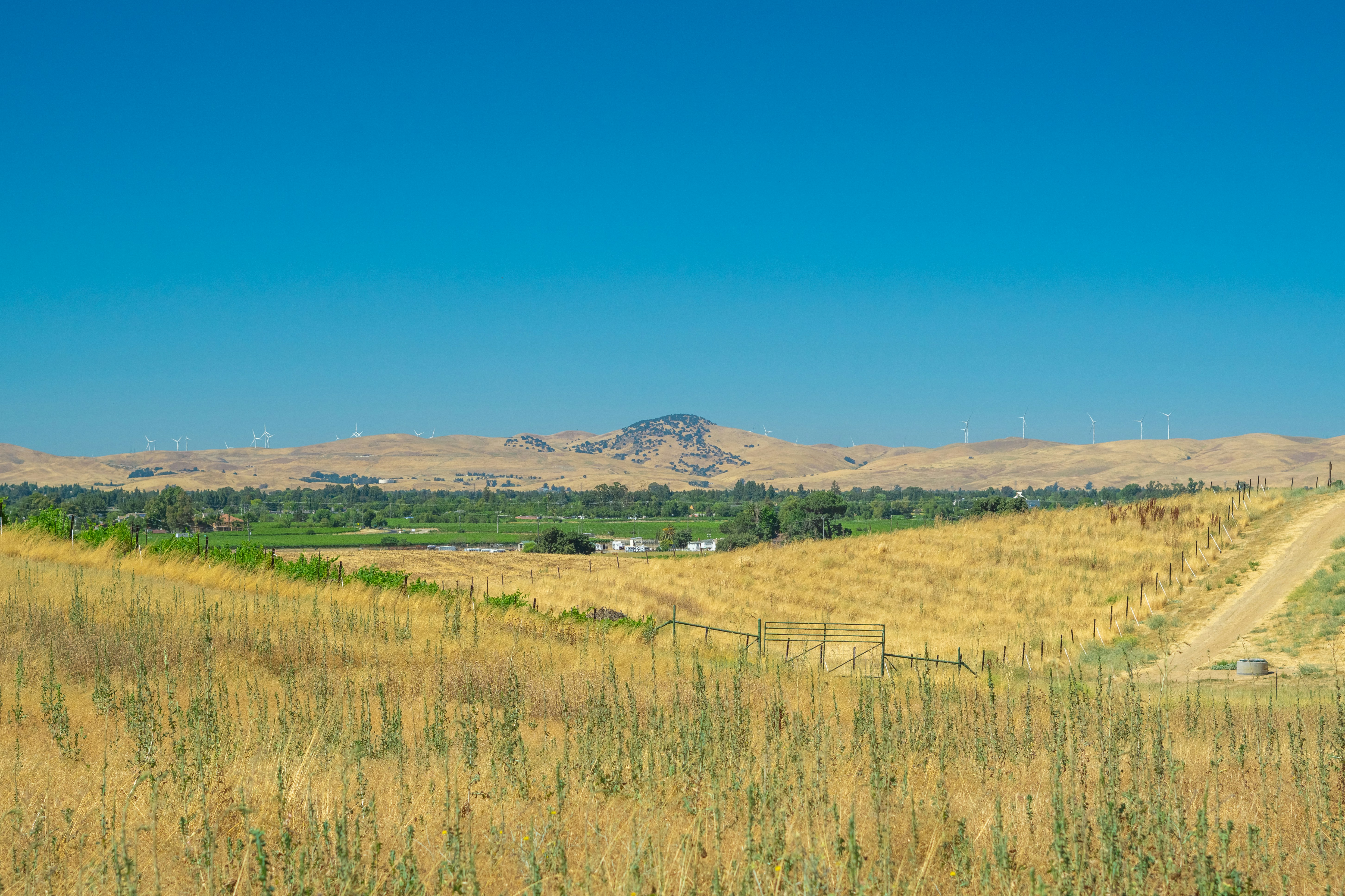 Photo by spencer_demera