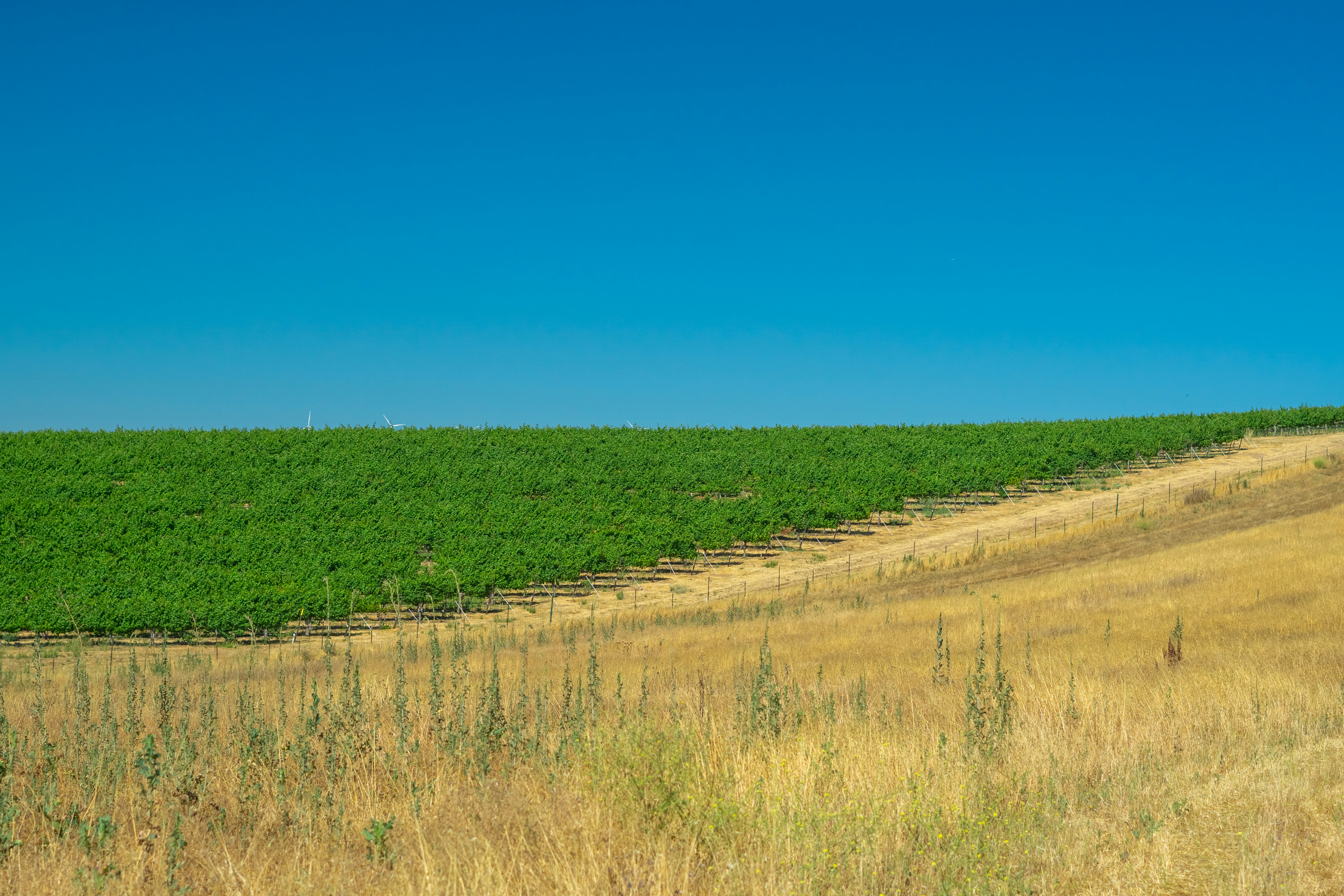 Photo by spencer_demera