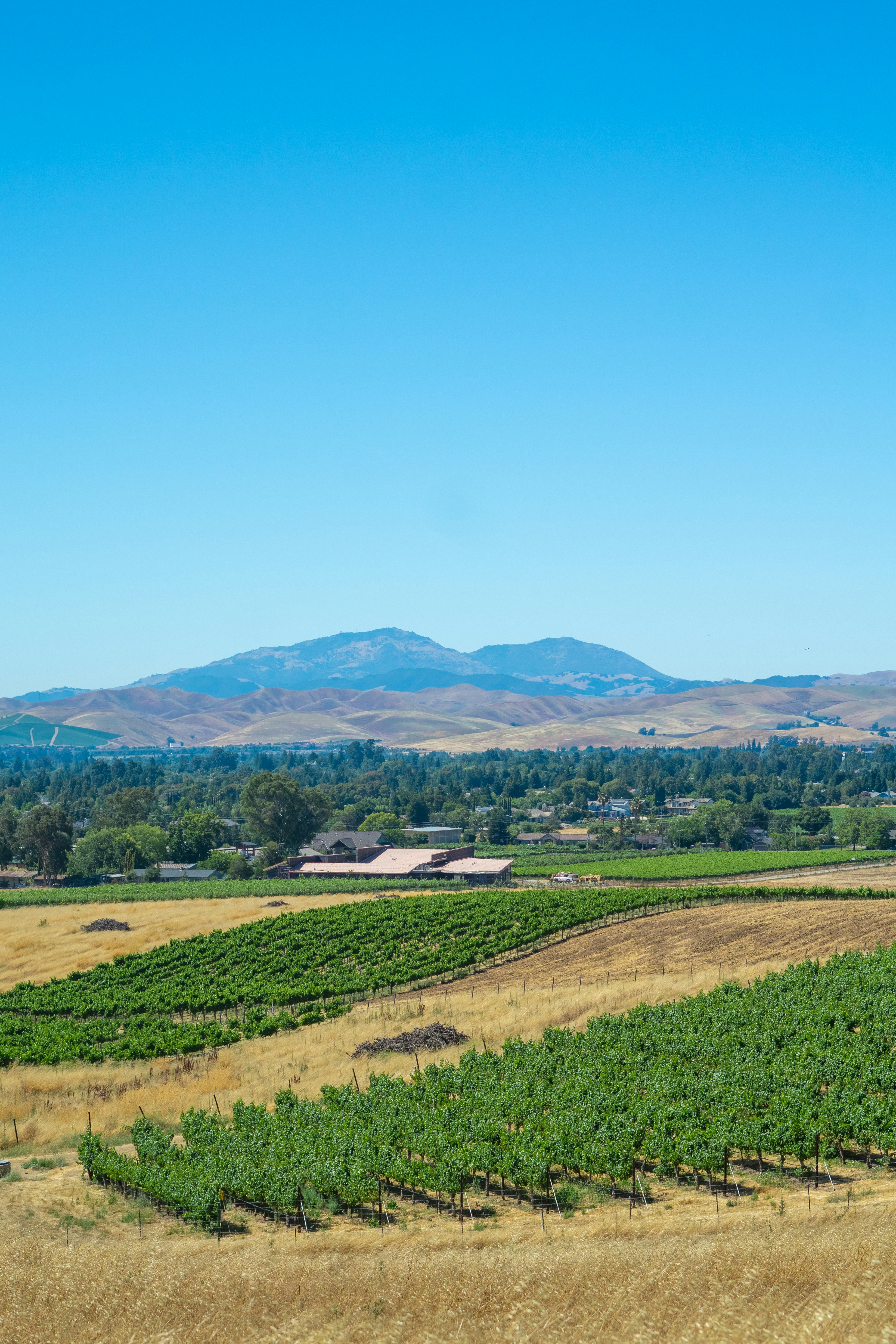 Photo by spencer_demera