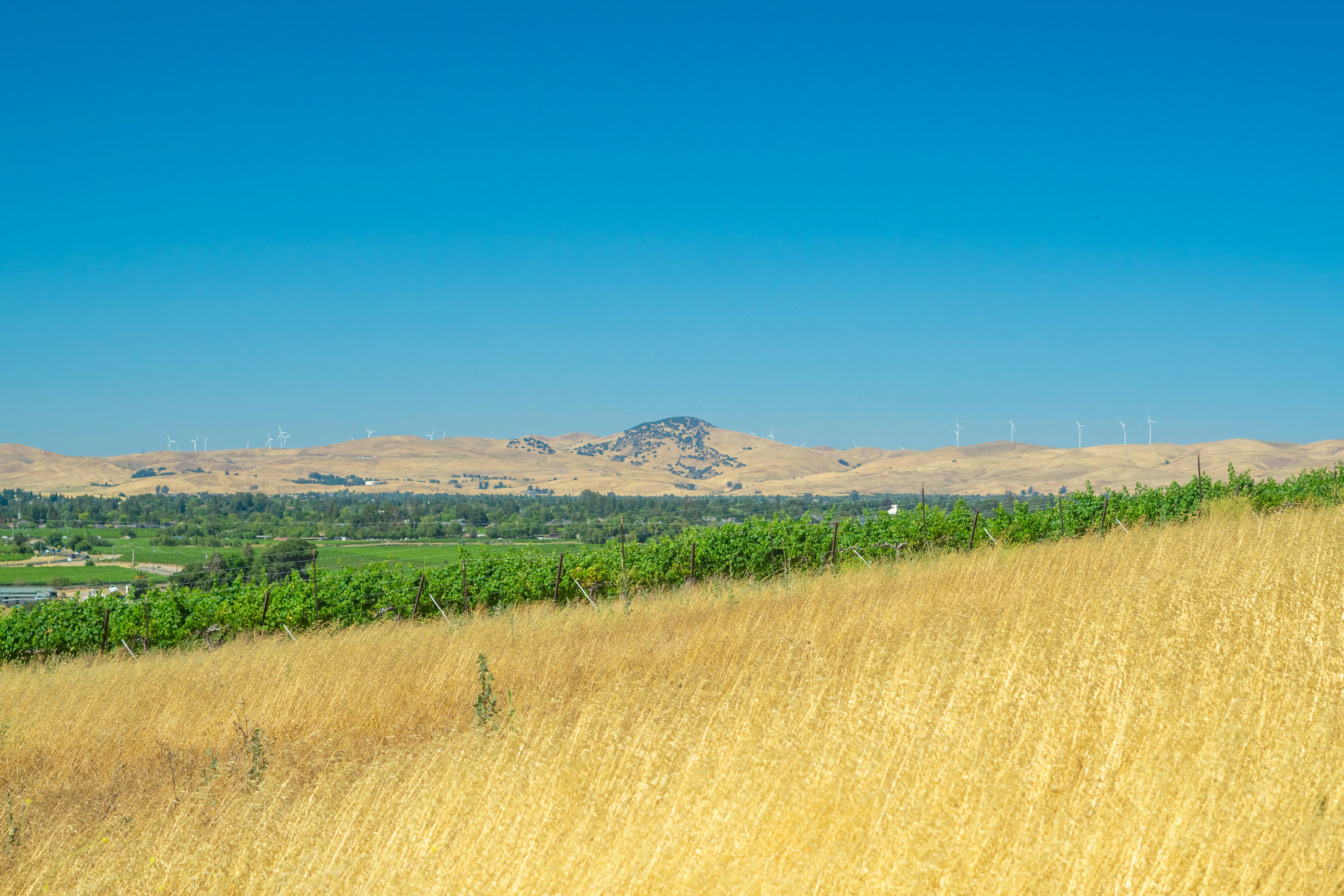 Photo by spencer_demera