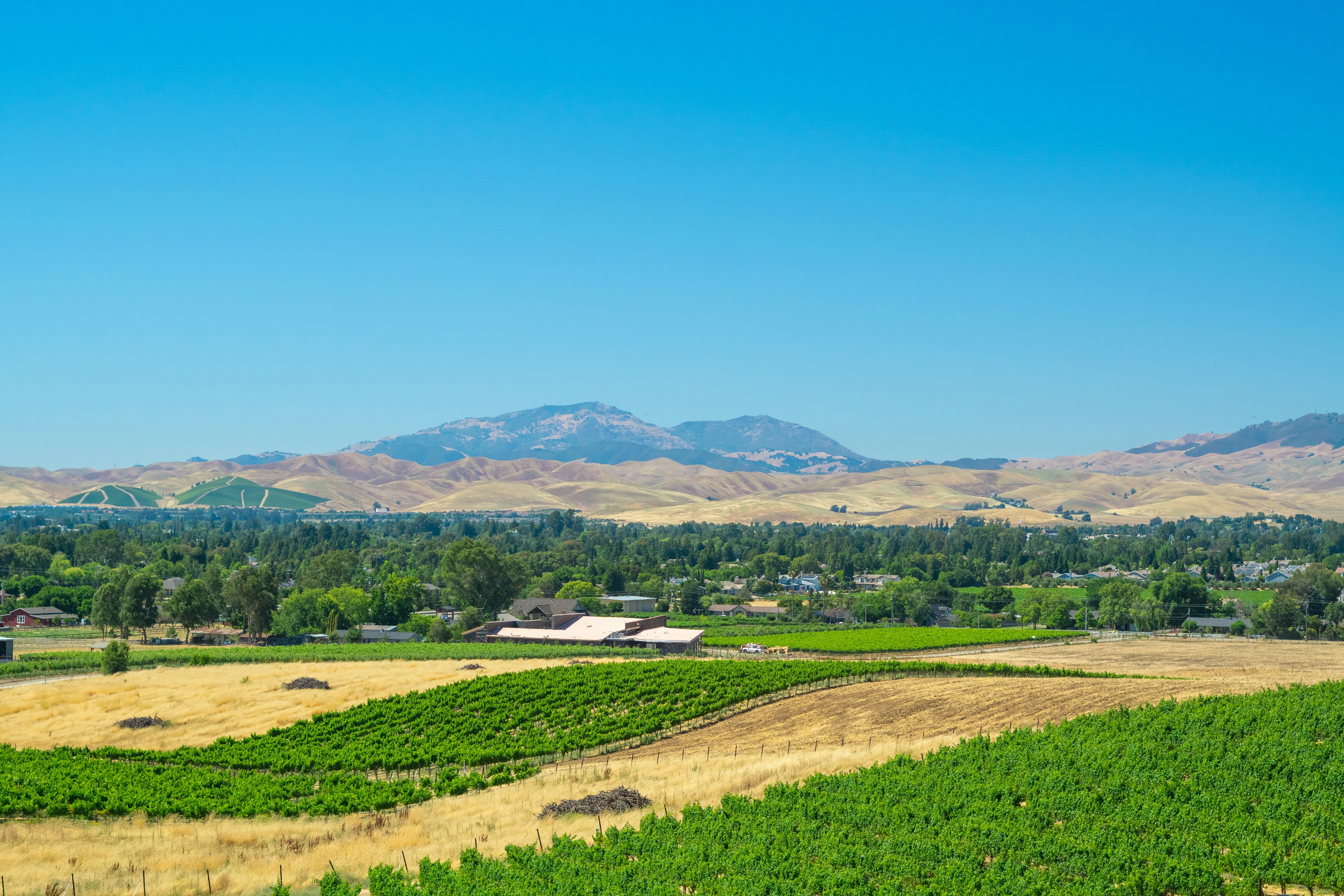 Photo by spencer_demera