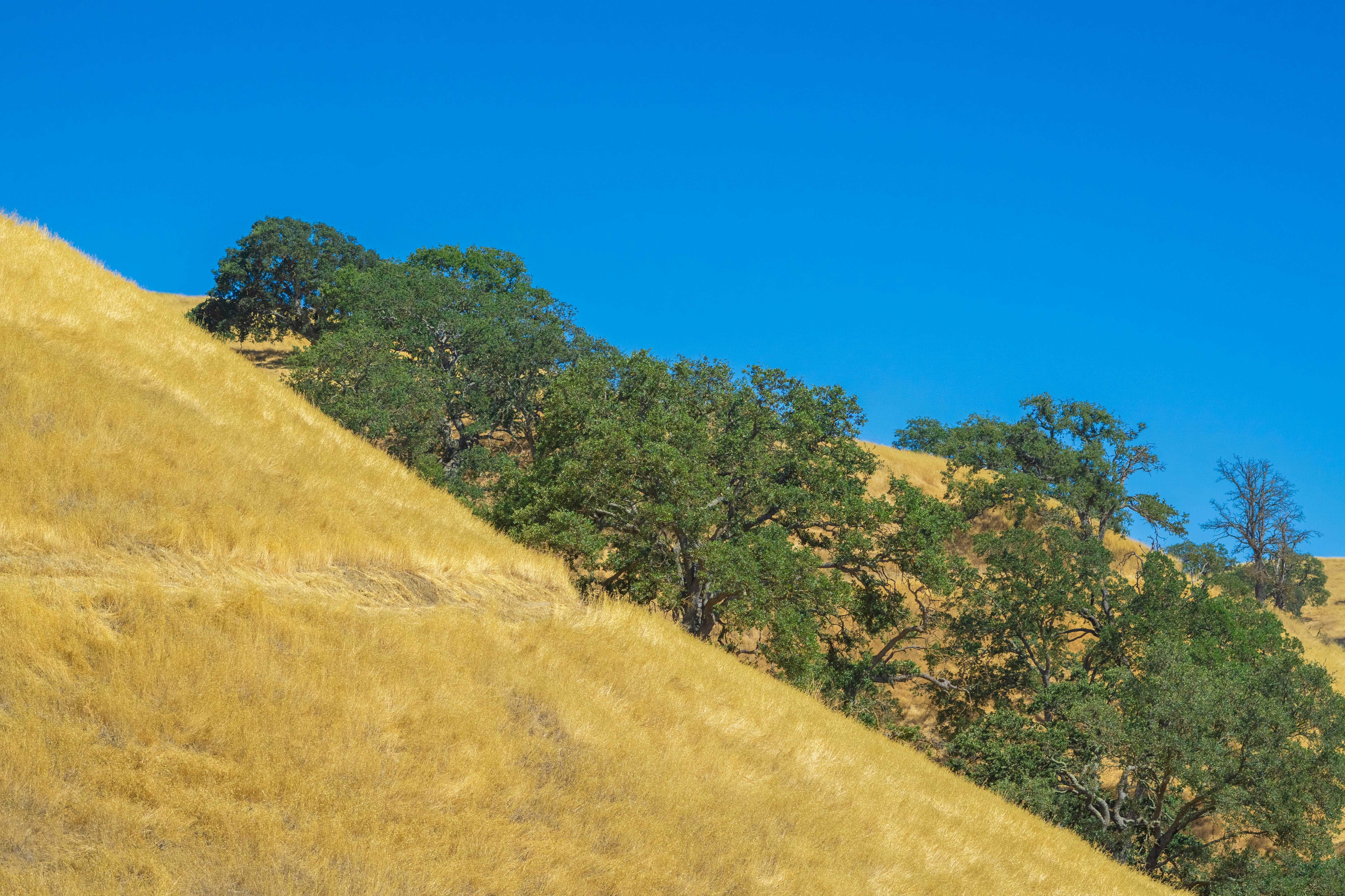 Photo by spencer_demera