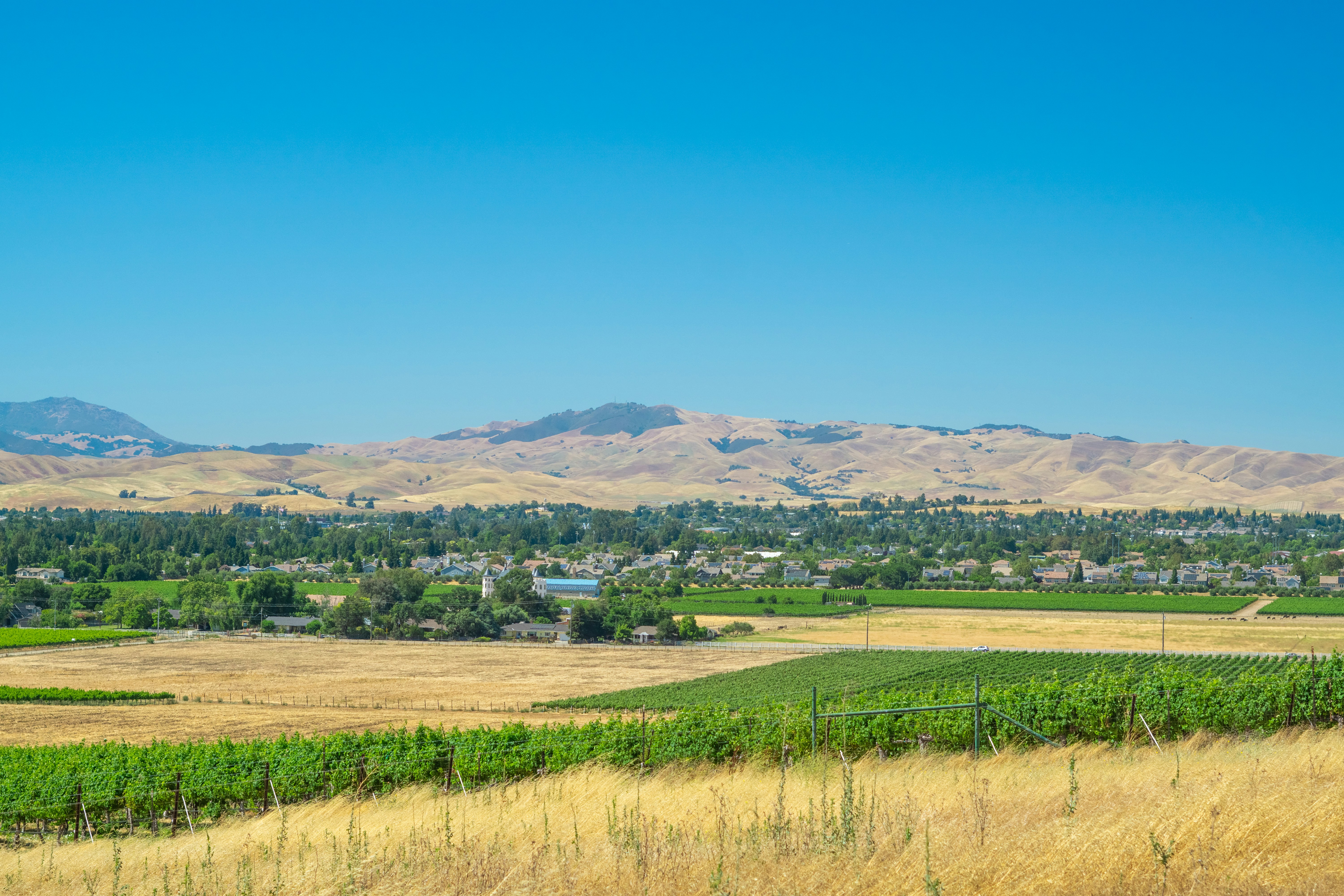 Photo by spencer_demera