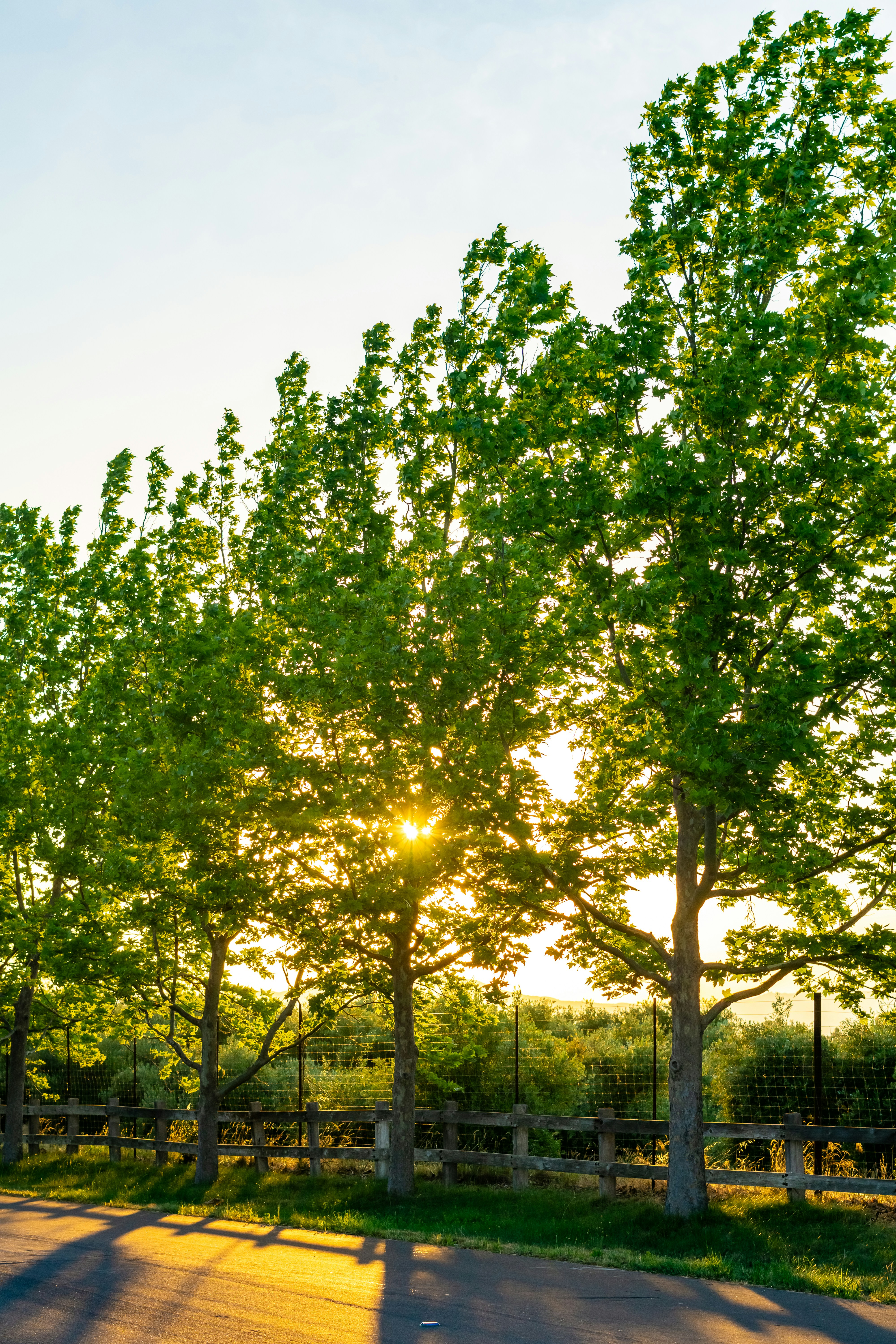 Photo by spencer_demera