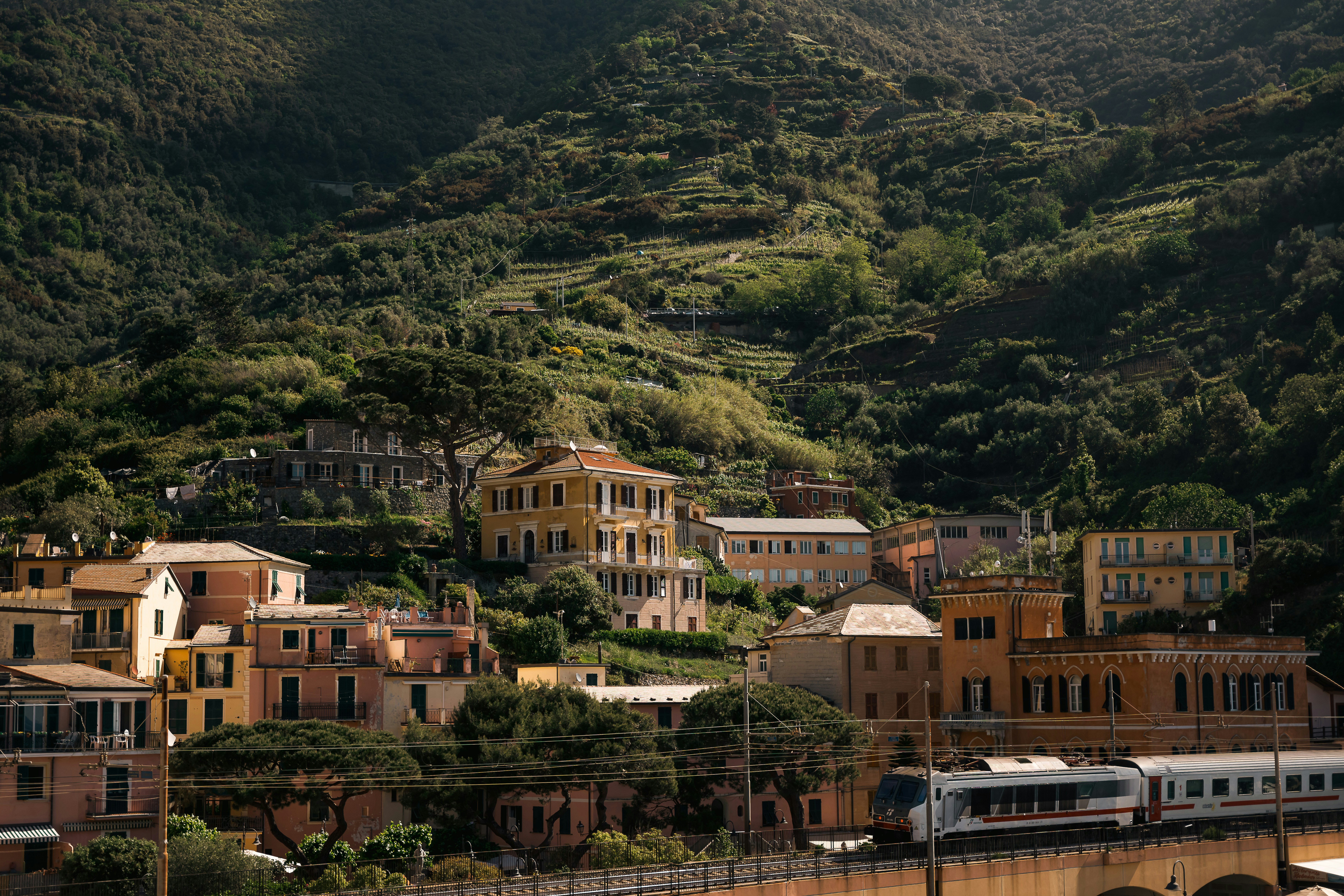 a train traveling down a train track next to a lush green hillside, 