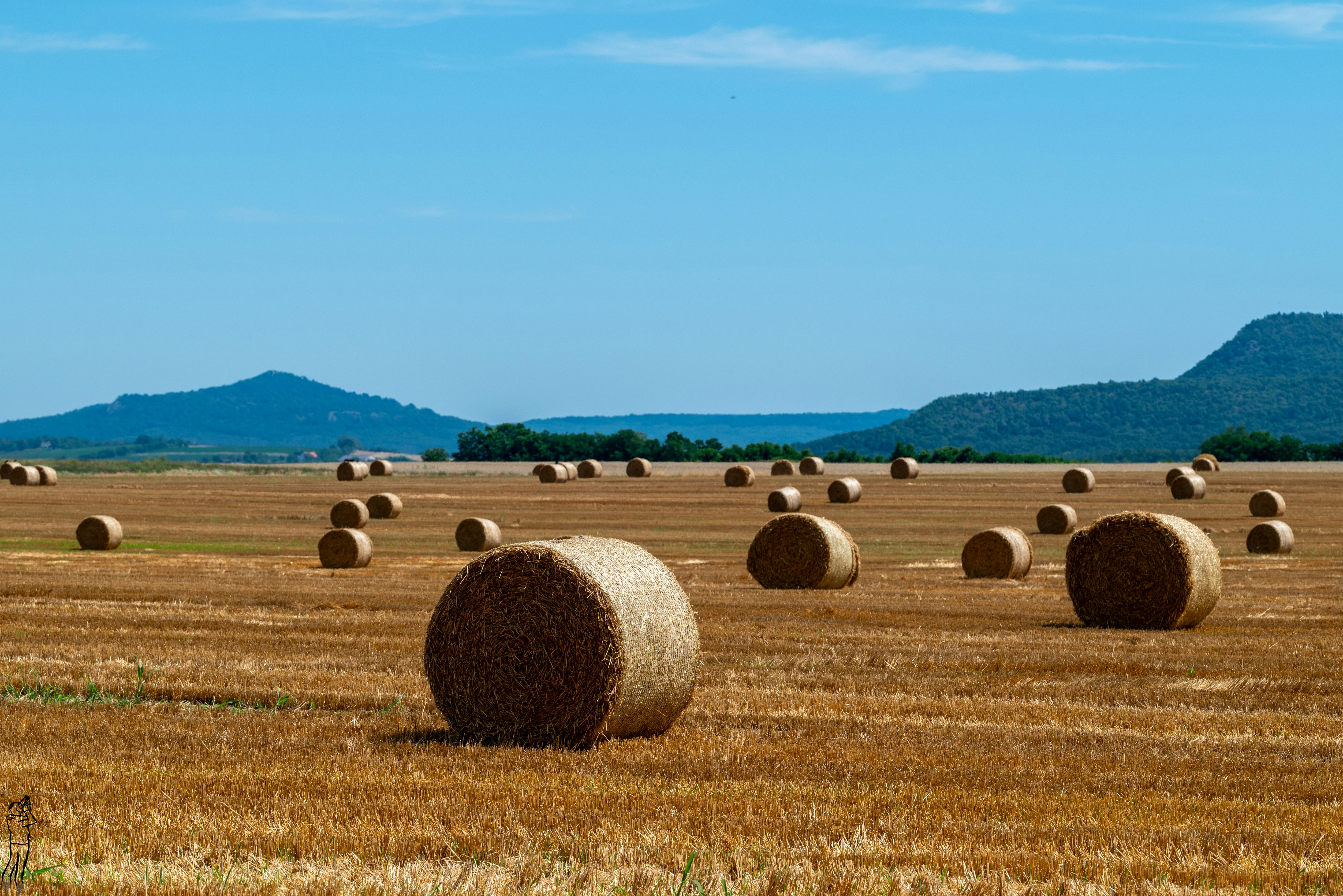 Photo by metroidmaniac